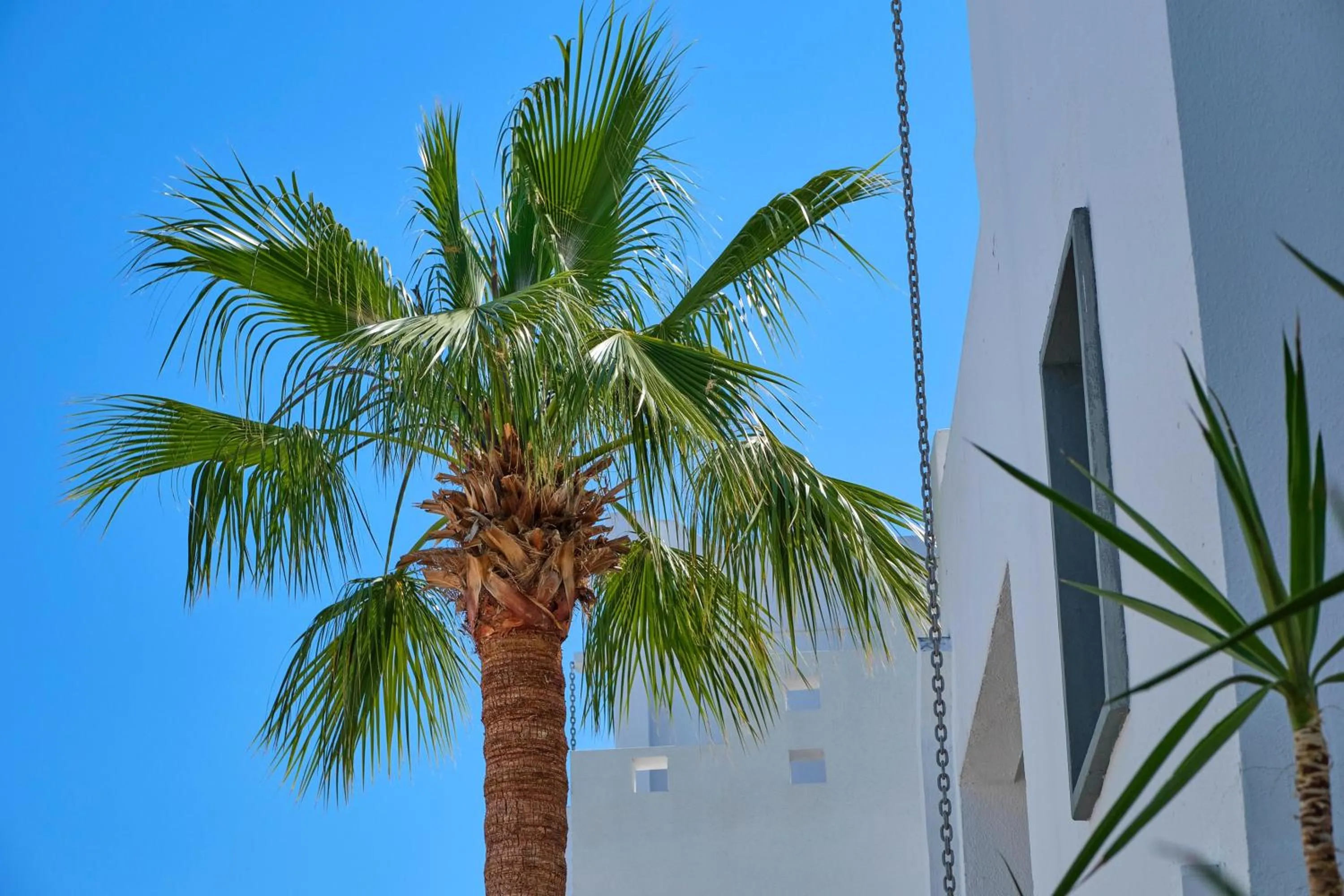 Natural landscape in YAZ Yalıkavak