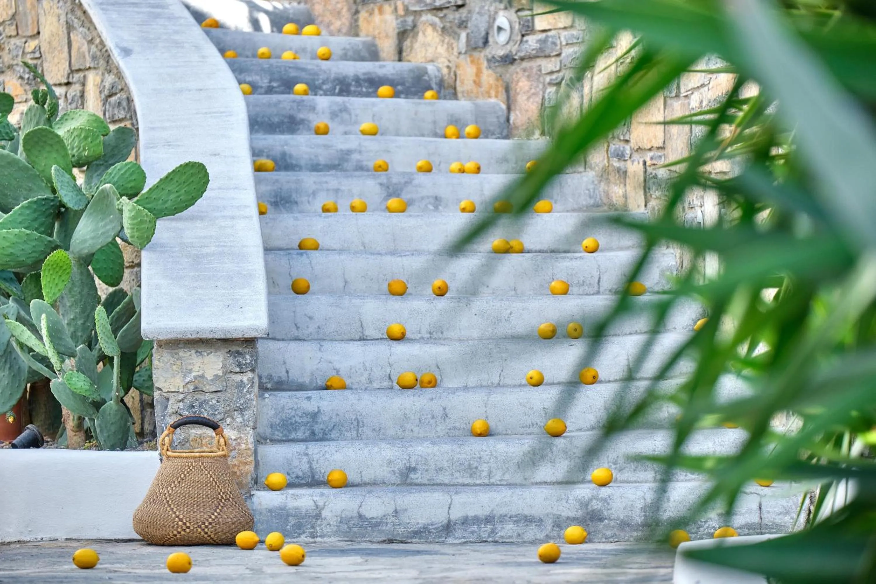 Property building in YAZ Yalıkavak