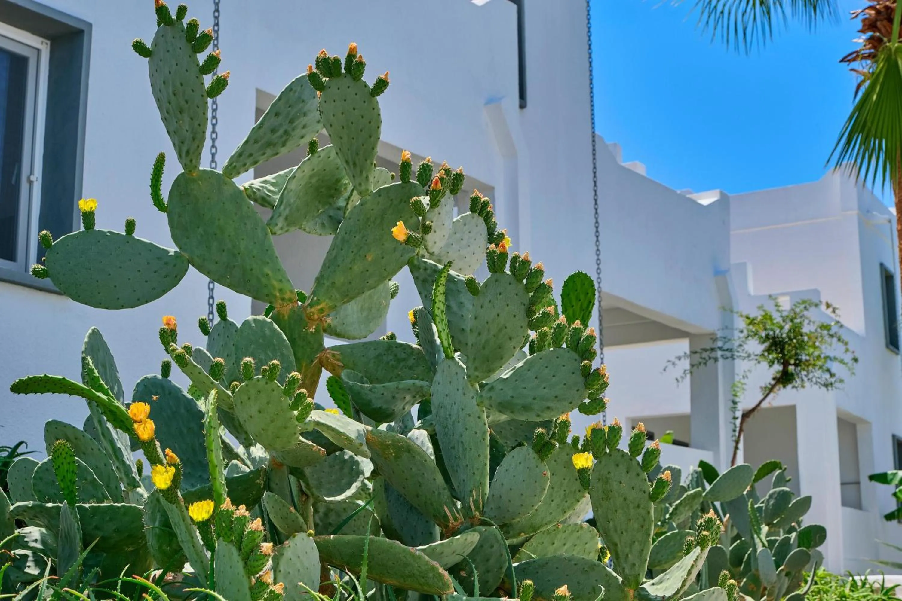 Property building in YAZ Yalıkavak