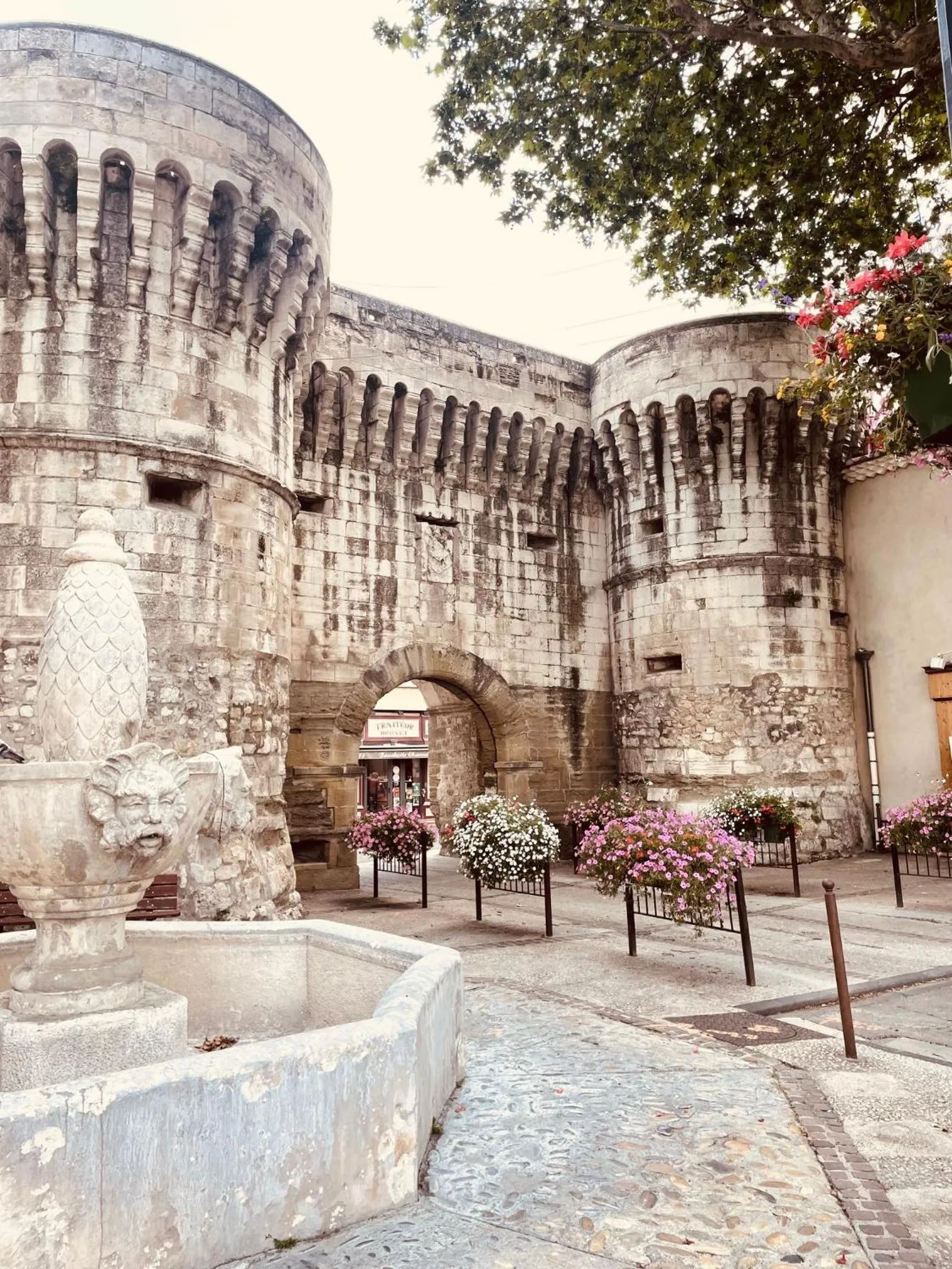 Neighbourhood in B&B Temps Suspendu Provence