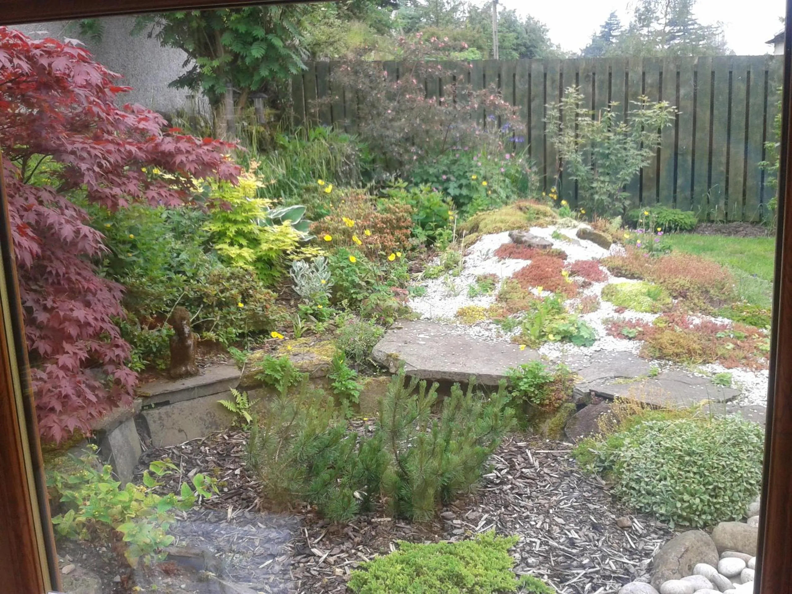 Garden in Middleton House Bed and Breakfast