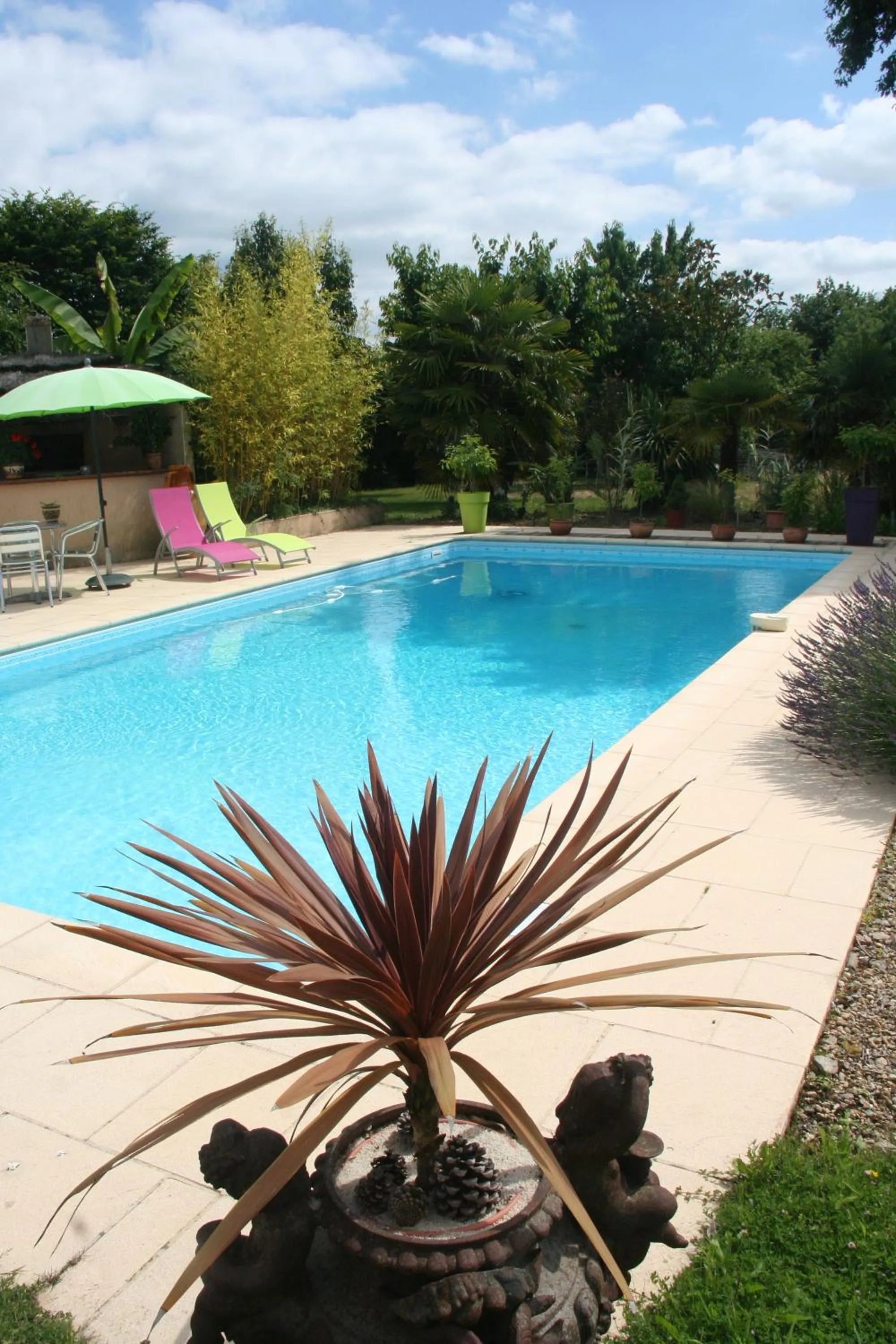 Garden view in Une Chambre à la Campagne