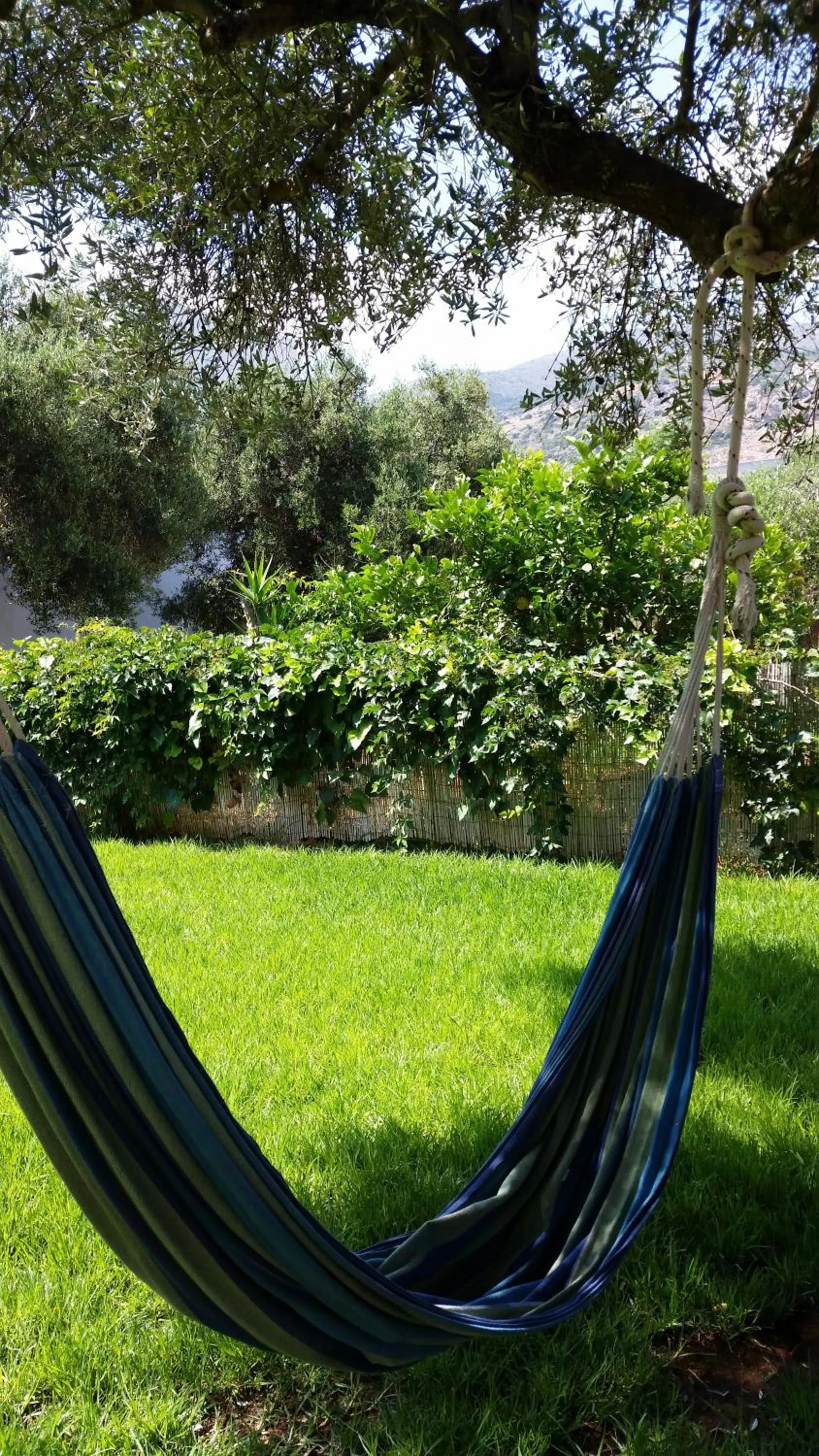 Garden in Emerald Hotel