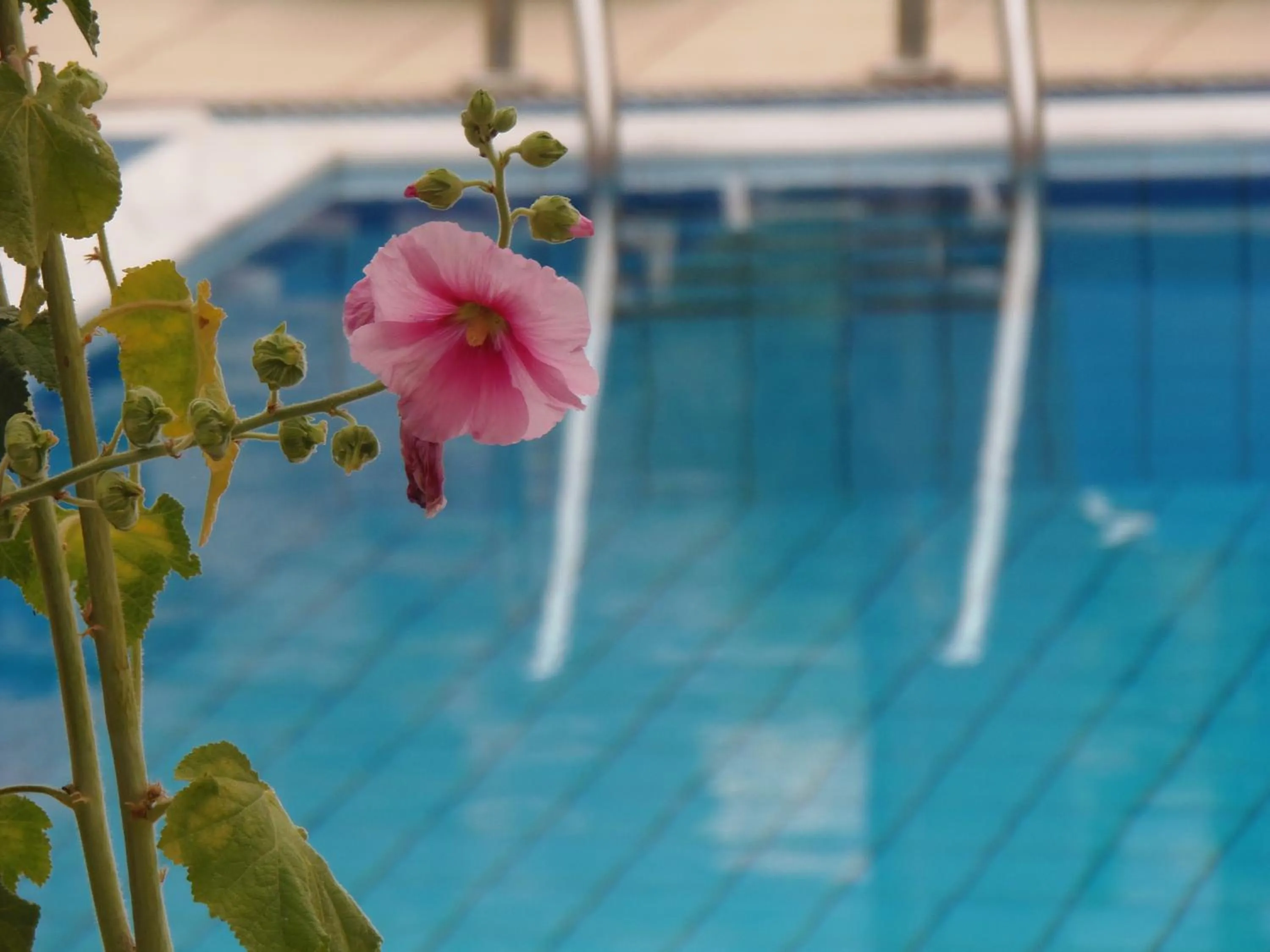 Spring in Emerald Hotel