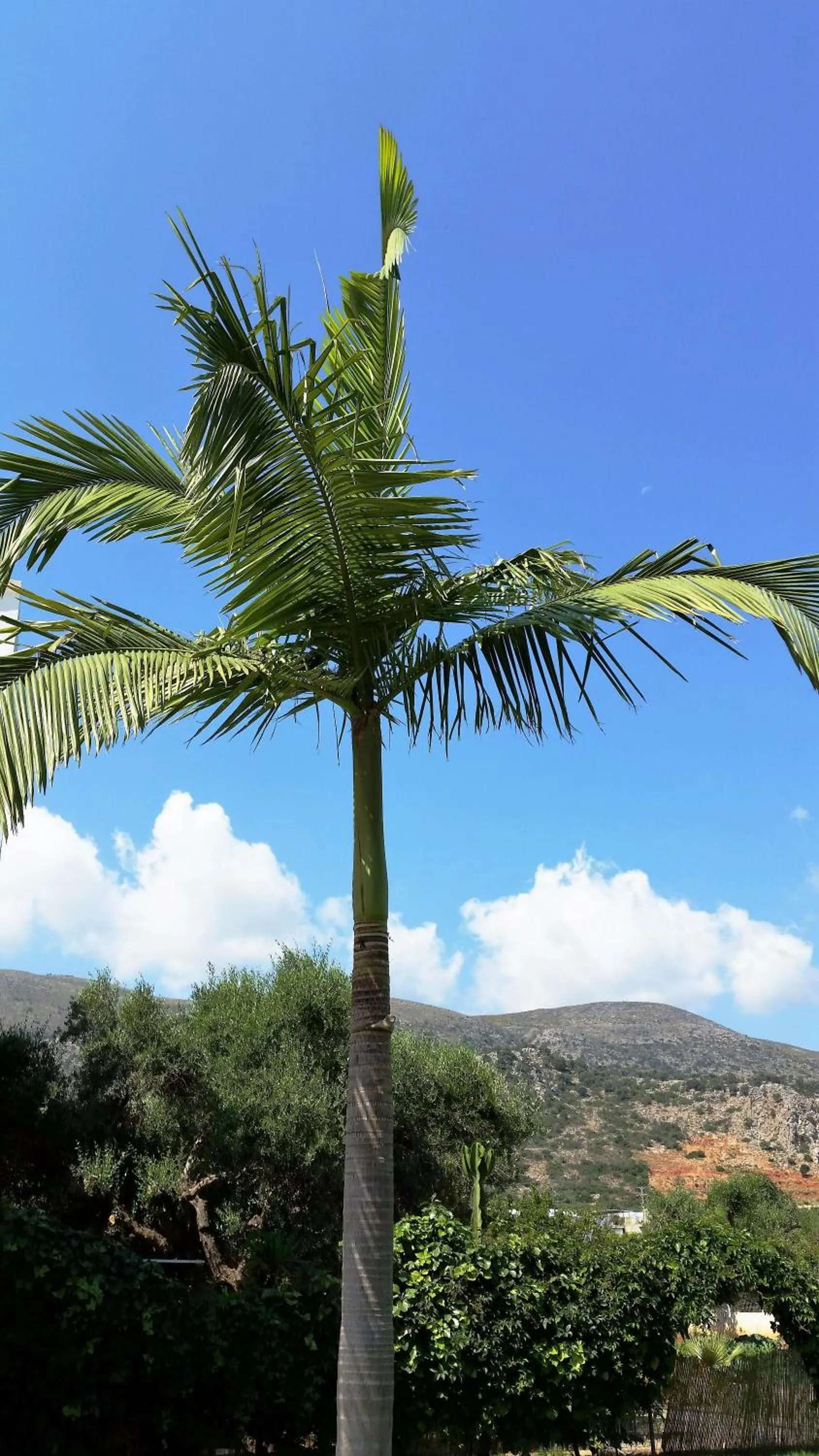 Natural landscape in Emerald Hotel