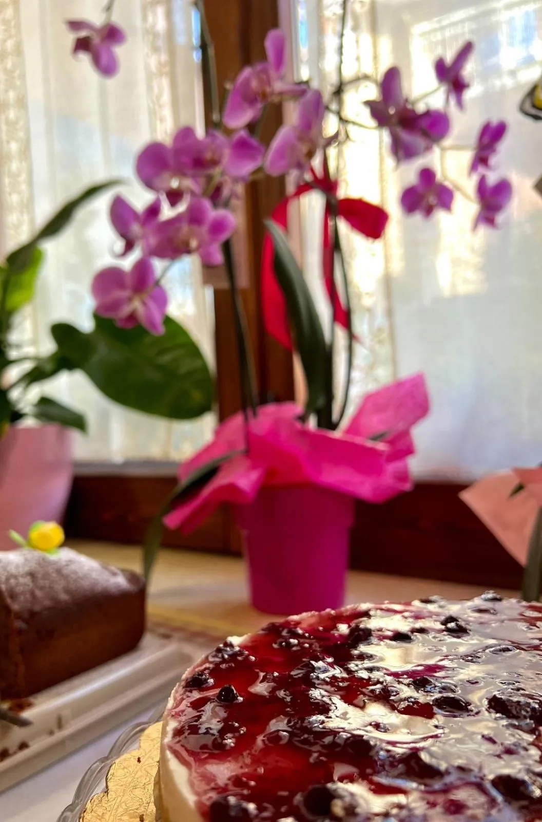 Breakfast in Il ritrovo delle Volpi