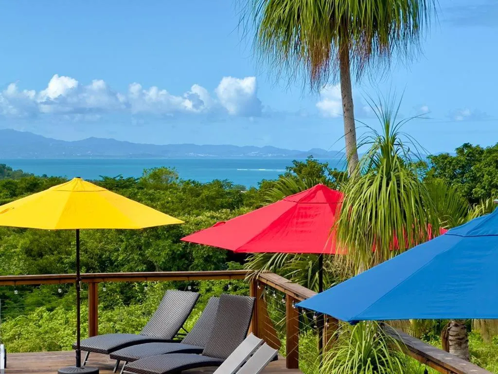 Sea view in Old Crow Hotel and Suites