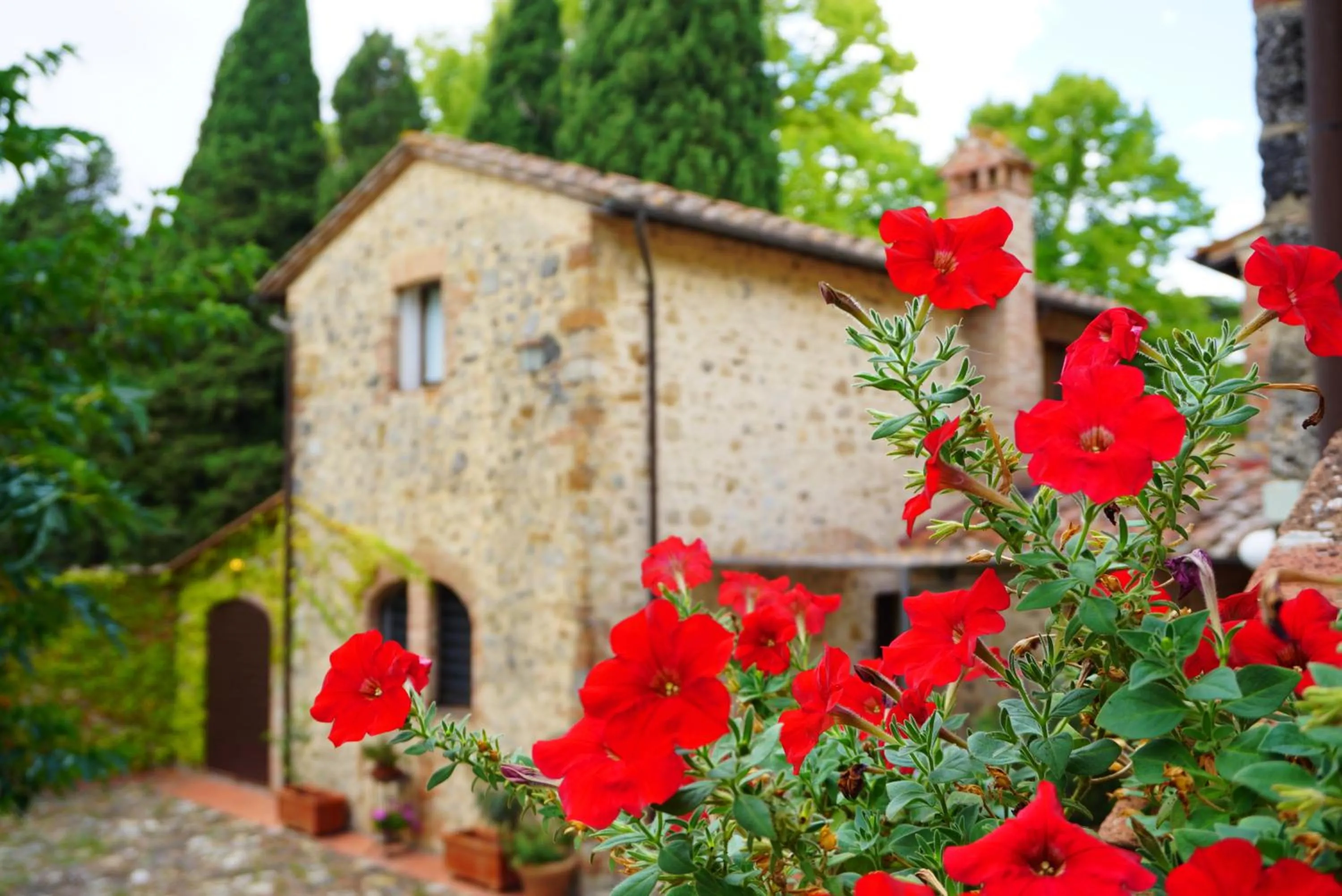 Inner courtyard view in Fattoria Lornano Winery