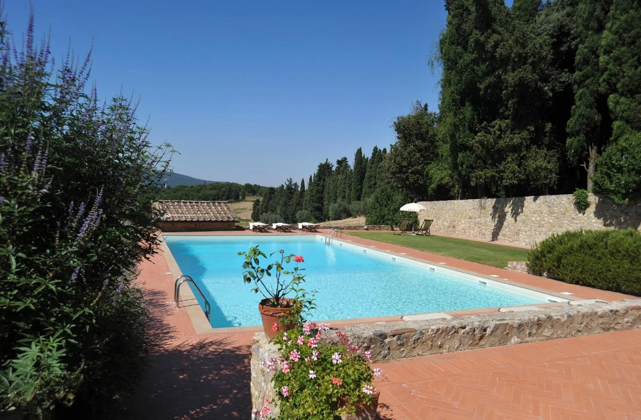 Swimming pool in Fattoria Lornano Winery