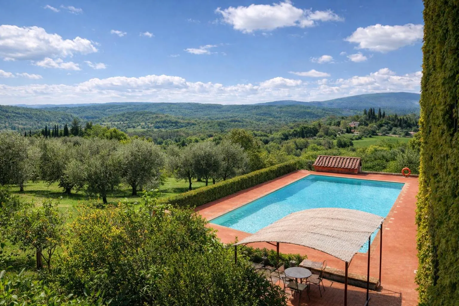 View (from property/room) in Fattoria Lornano Winery