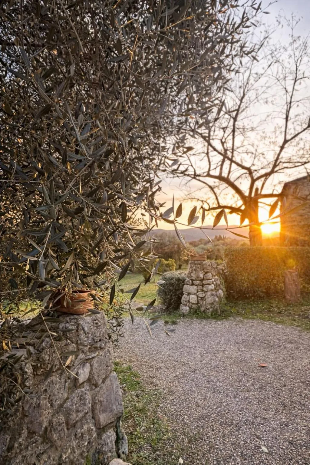 View (from property/room) in Fattoria Lornano Winery