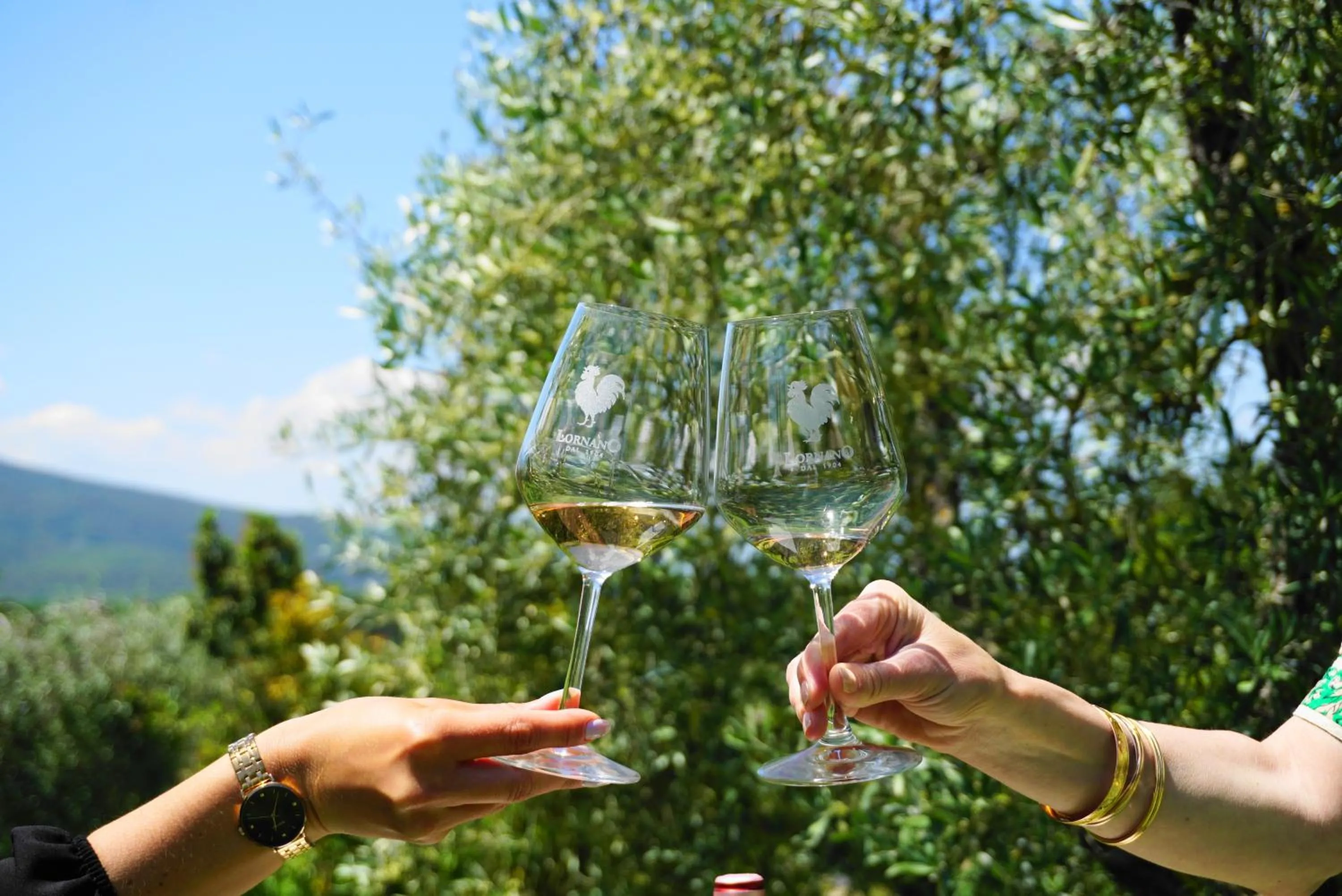 Activities in Fattoria Lornano Winery