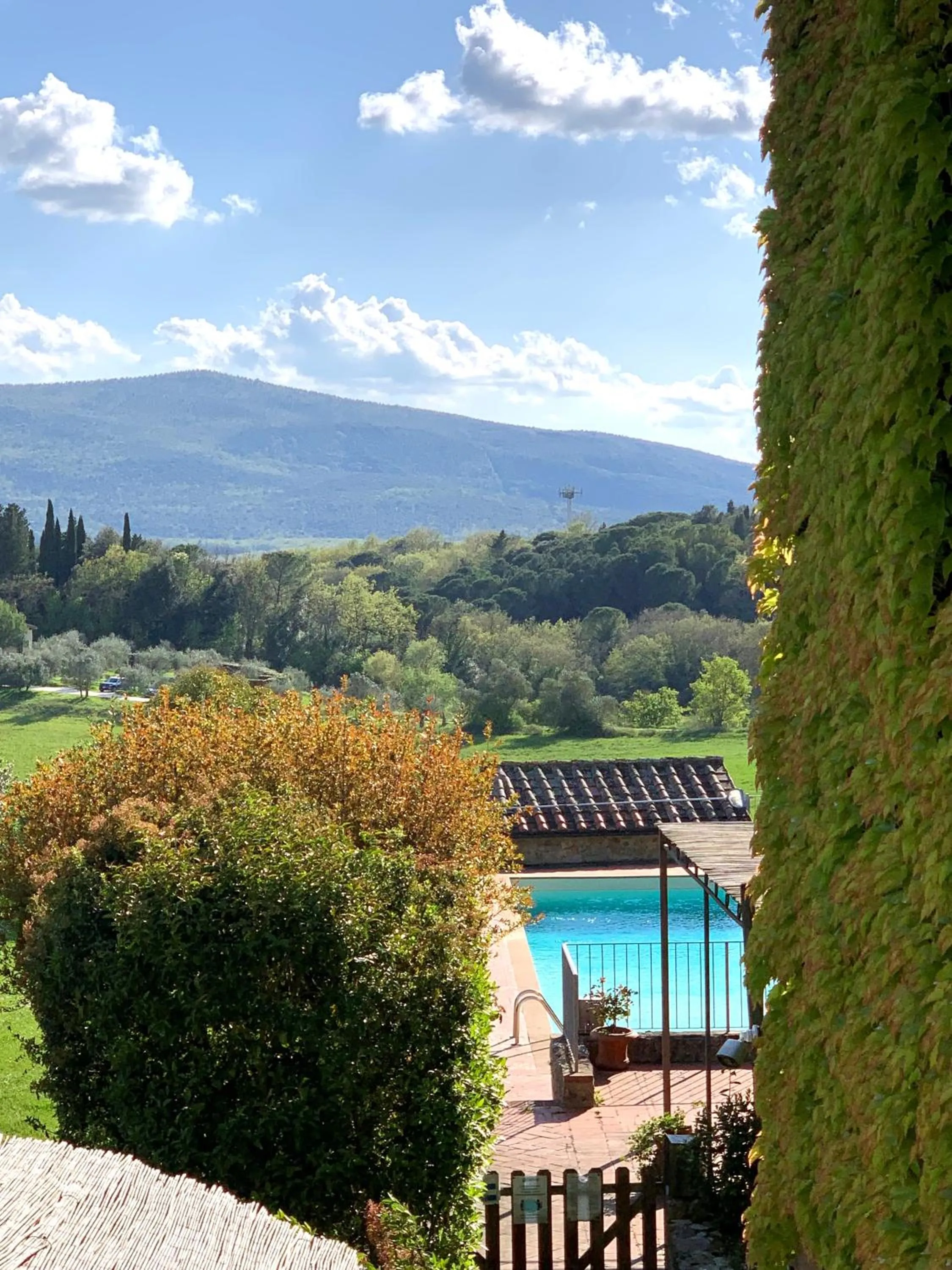 Garden in Fattoria Lornano Winery