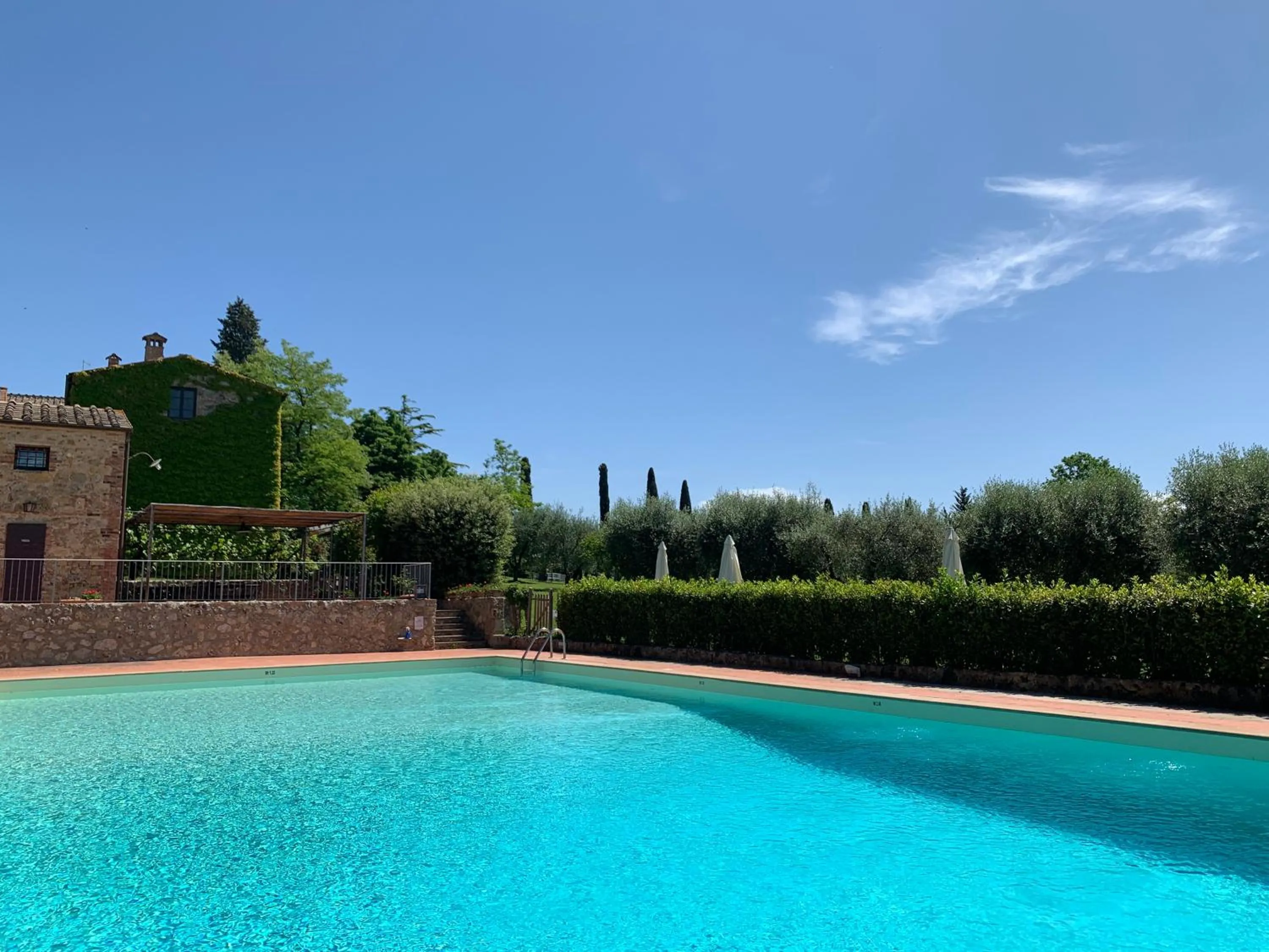 Swimming pool in Fattoria Lornano Winery