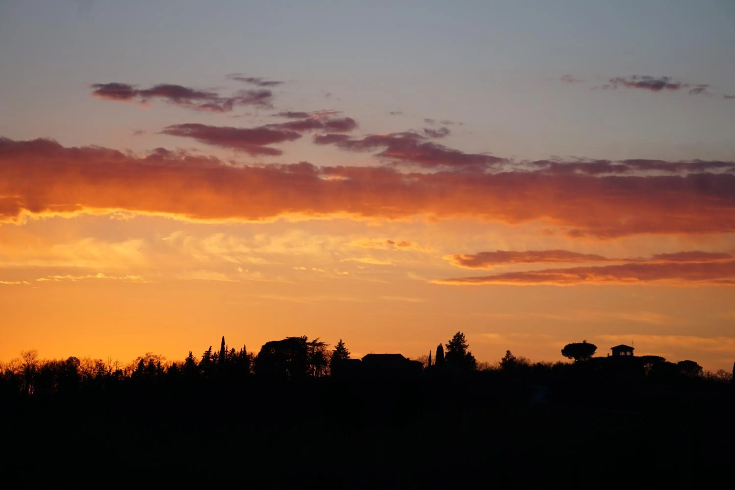 Garden view in Fattoria Lornano Winery
