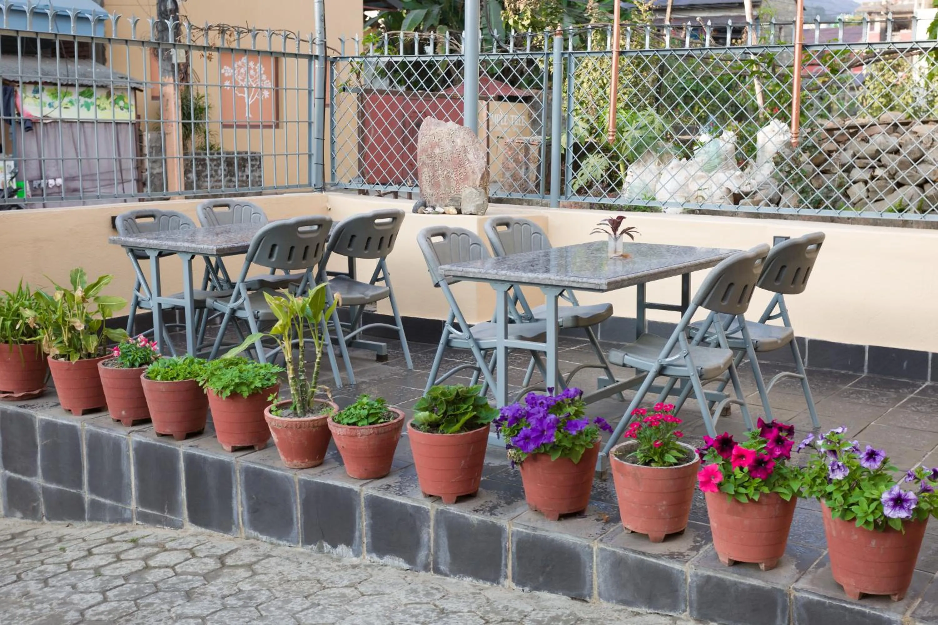 Day in Hotel Milarepa Pvt Ltd