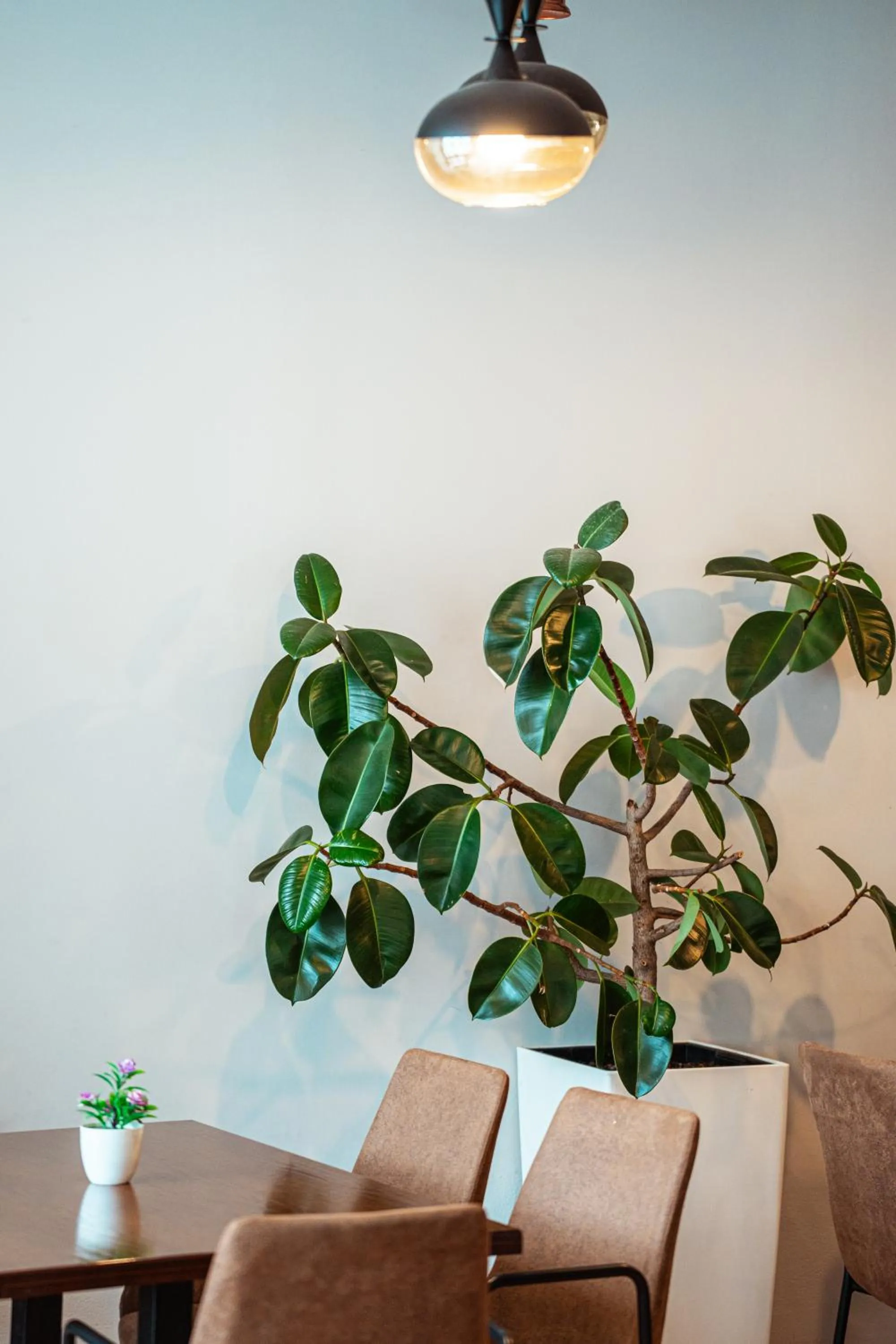 Lounge or bar in Hotel Blini