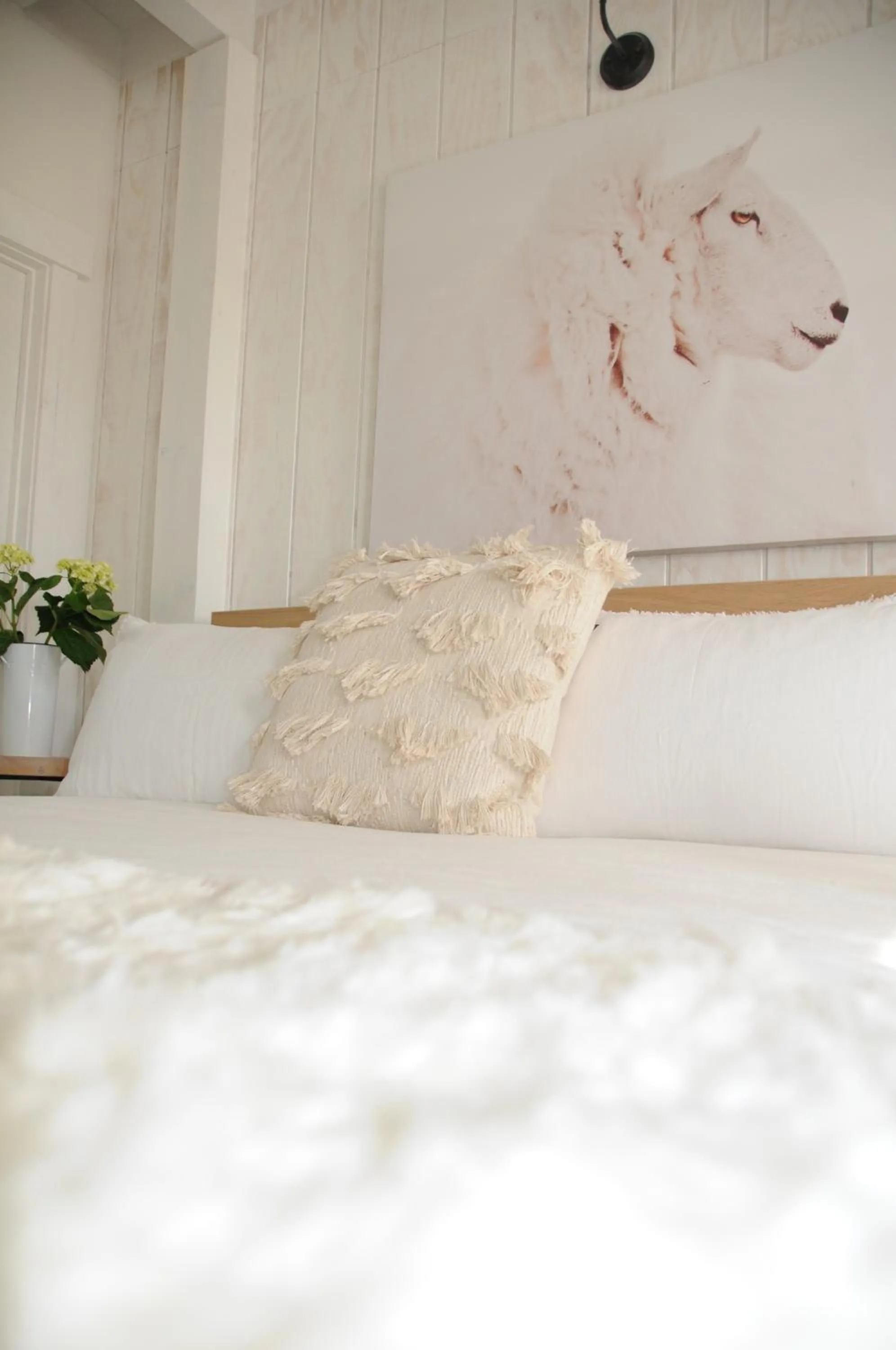 Bed in Inn Santa Clara