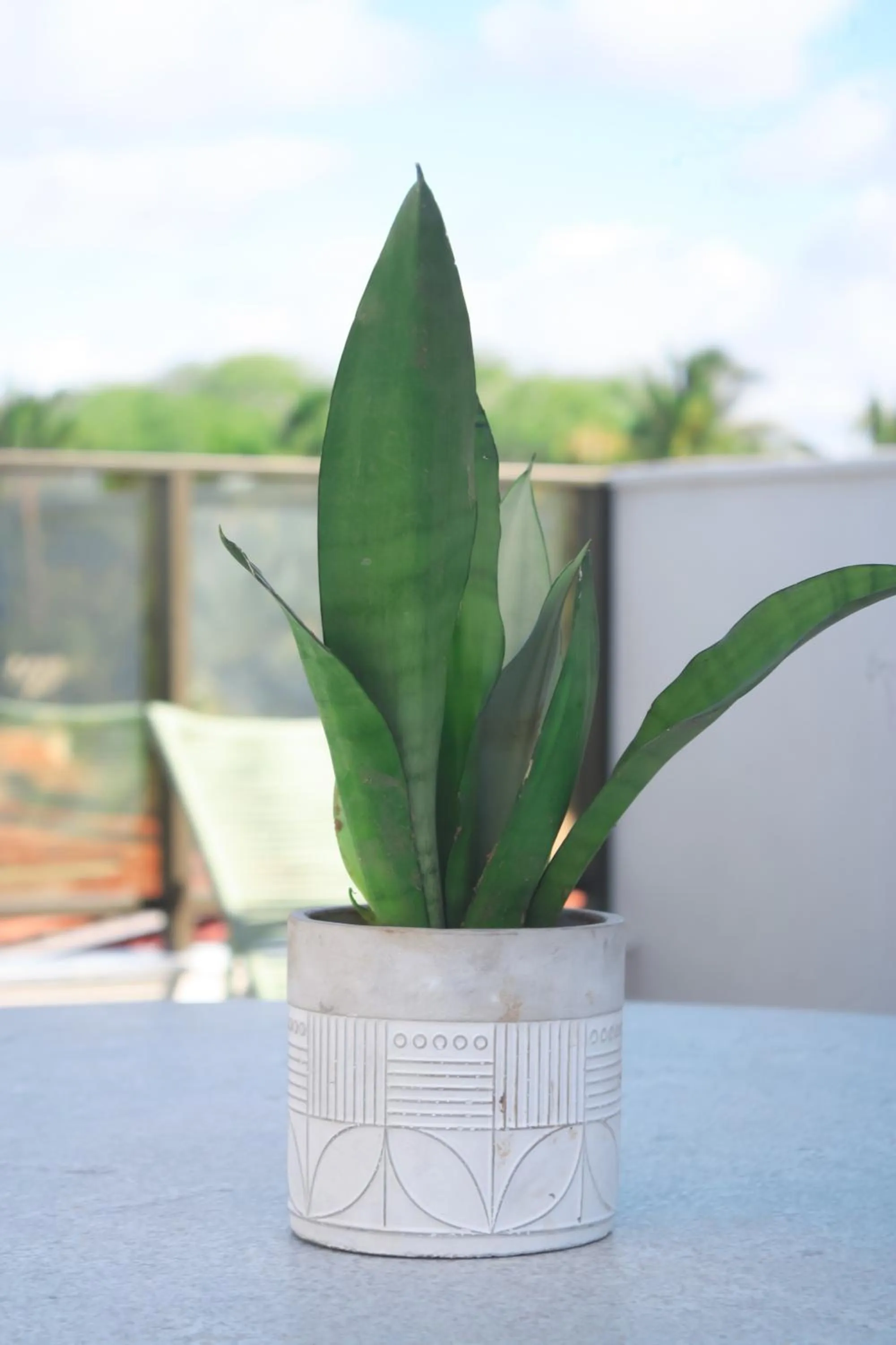 Decorative detail in The Home São Miguel do Gostoso by Liiv