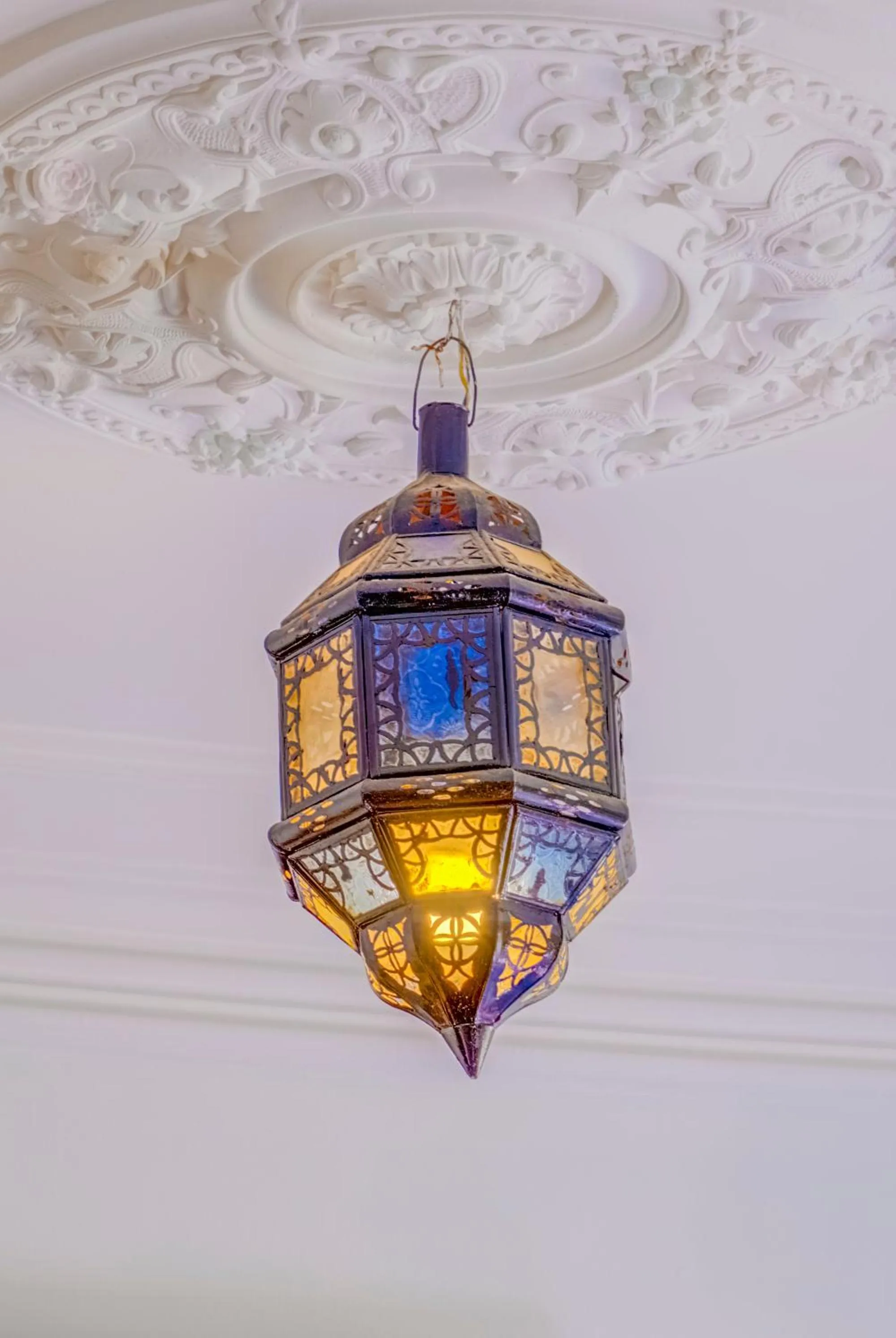 Other in Dinosaur Anza Surf House