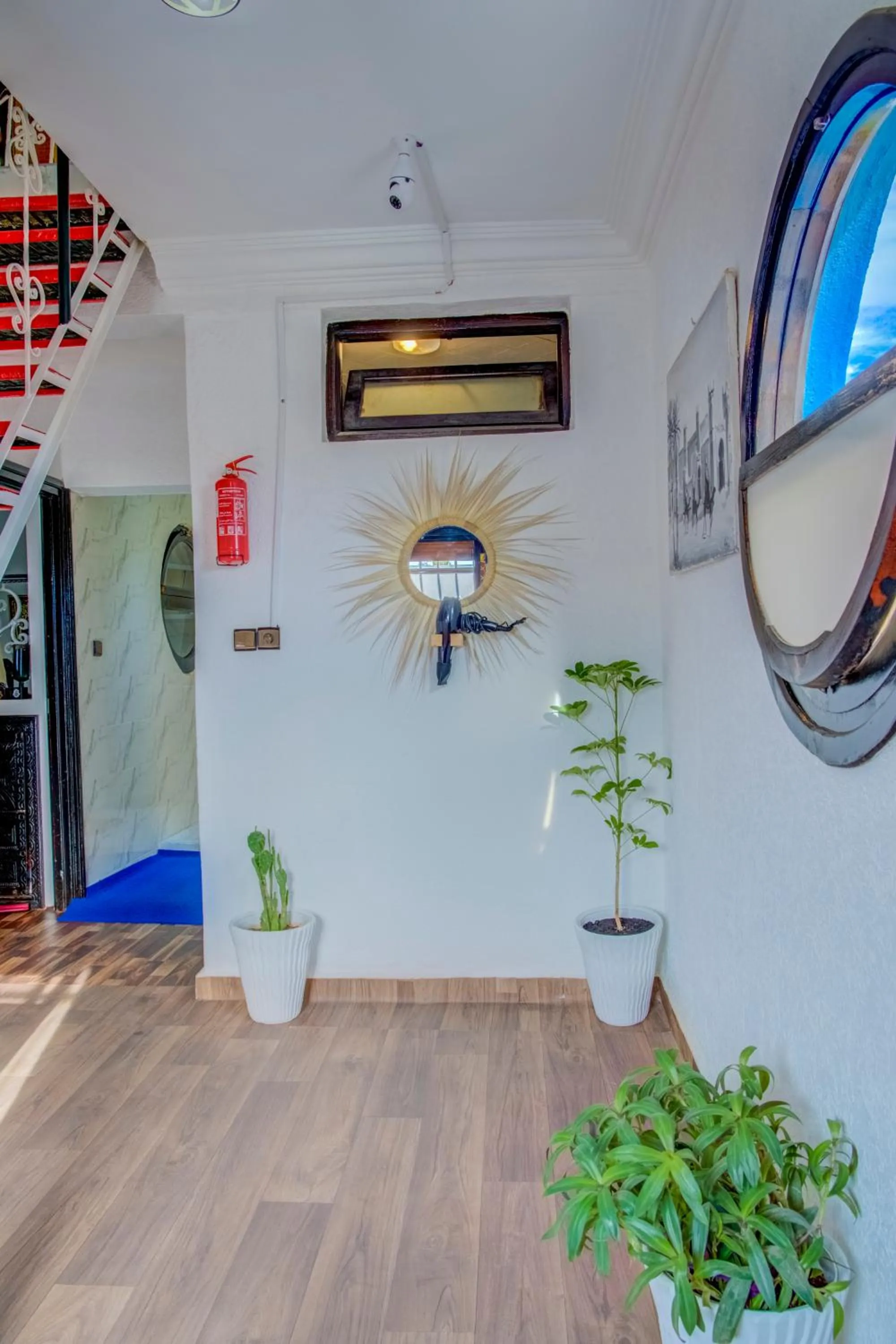 Property building in Dinosaur Anza Surf House