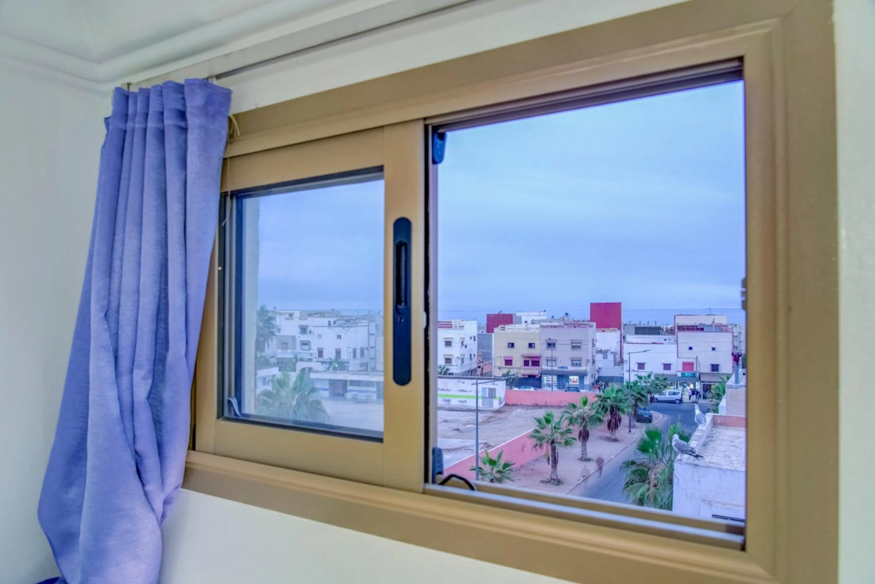 View (from property/room) in Dinosaur Anza Surf House