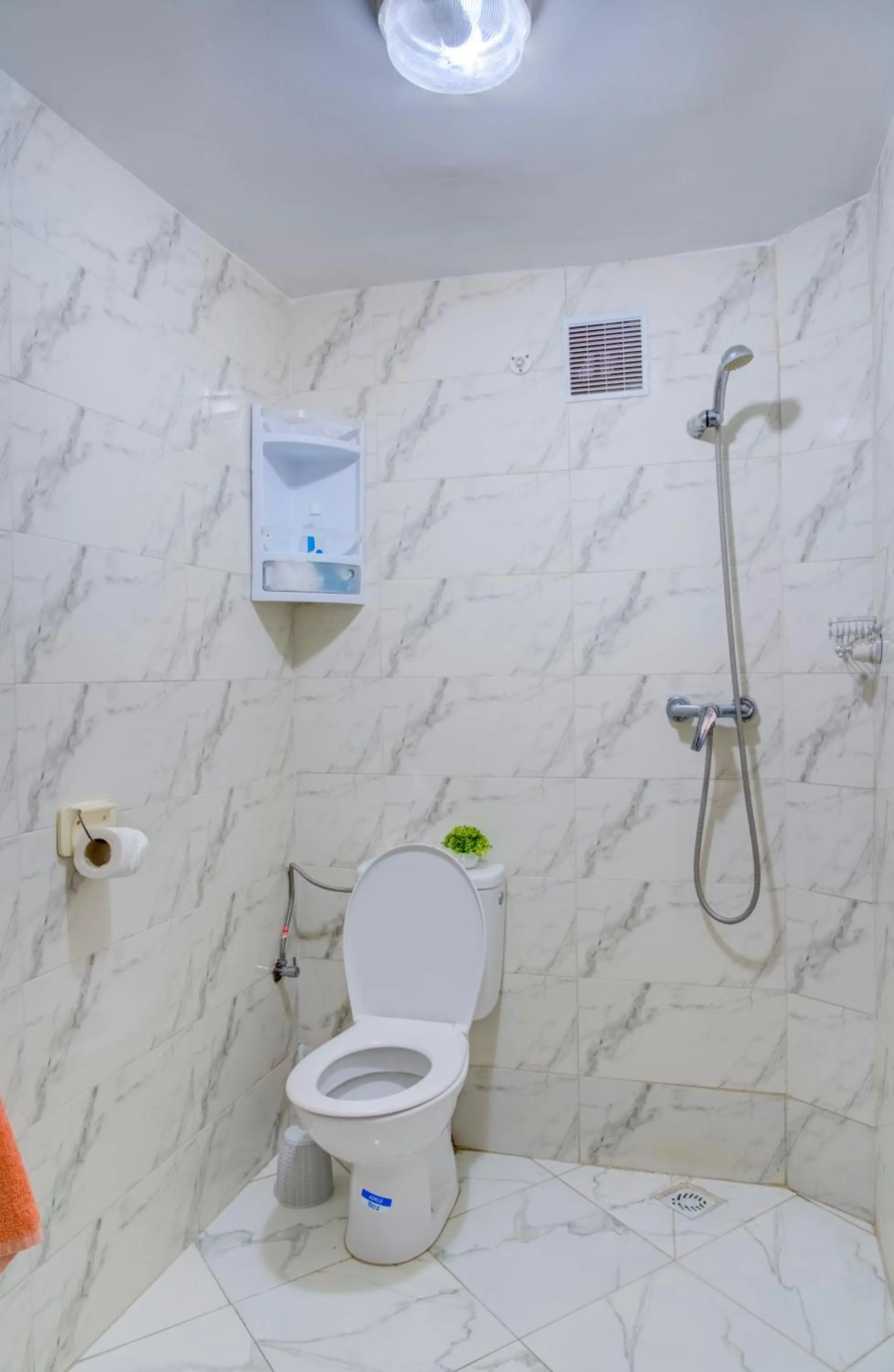 Toilet in Dinosaur Anza Surf House