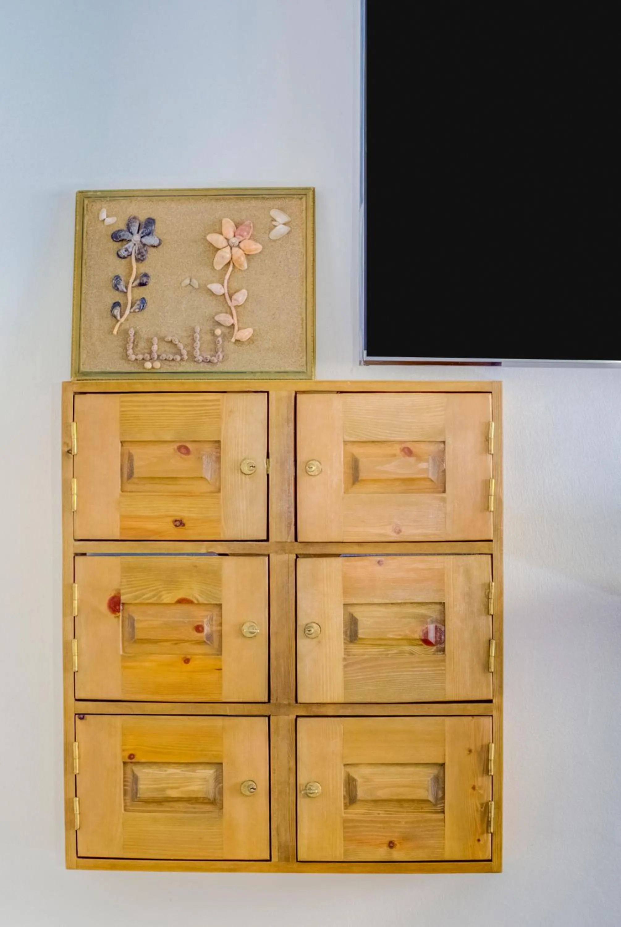 safe in Dinosaur Anza Surf House