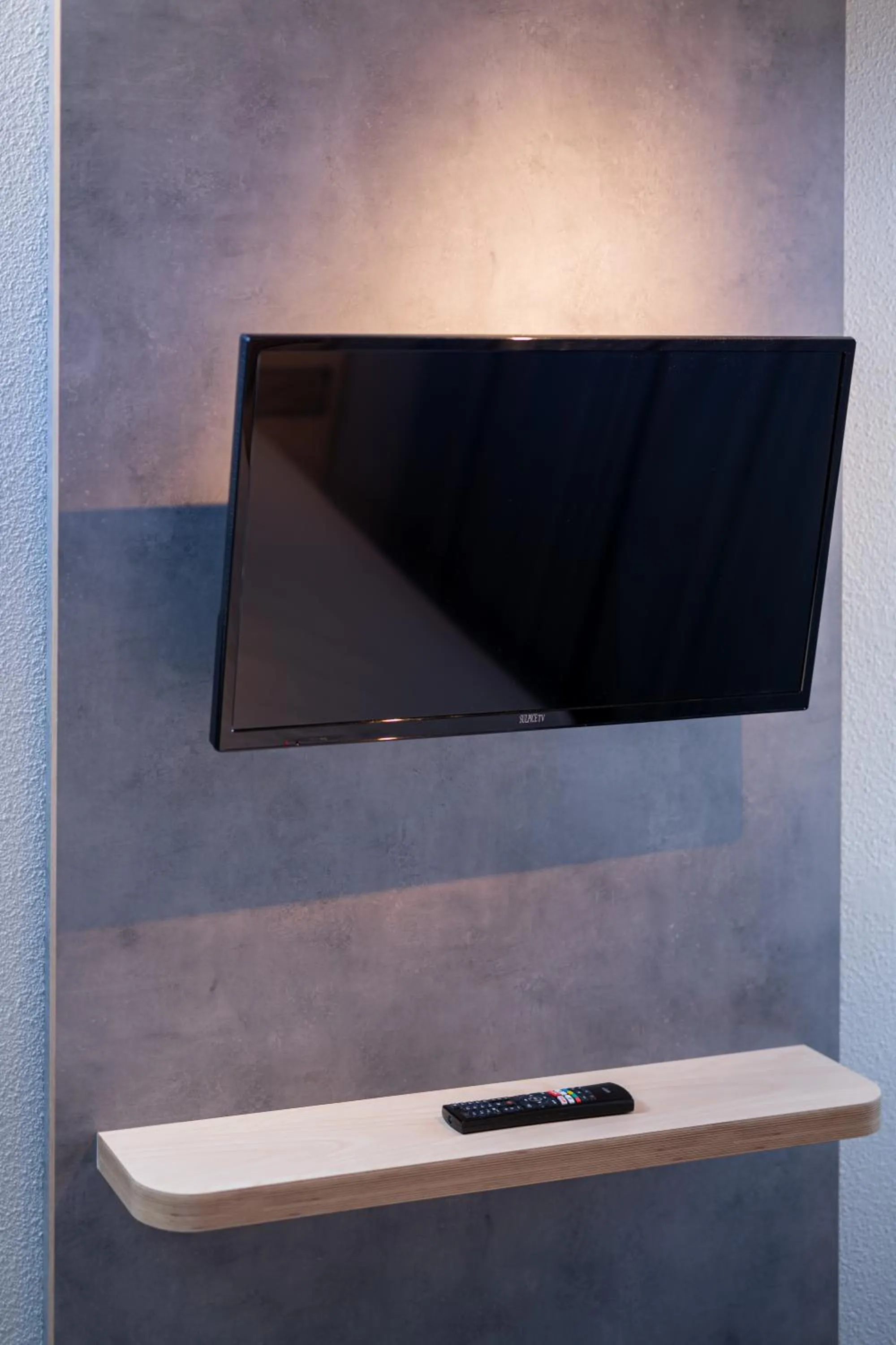 TV and multimedia in Ibis Budget Lyon Caluire Cité Internationale