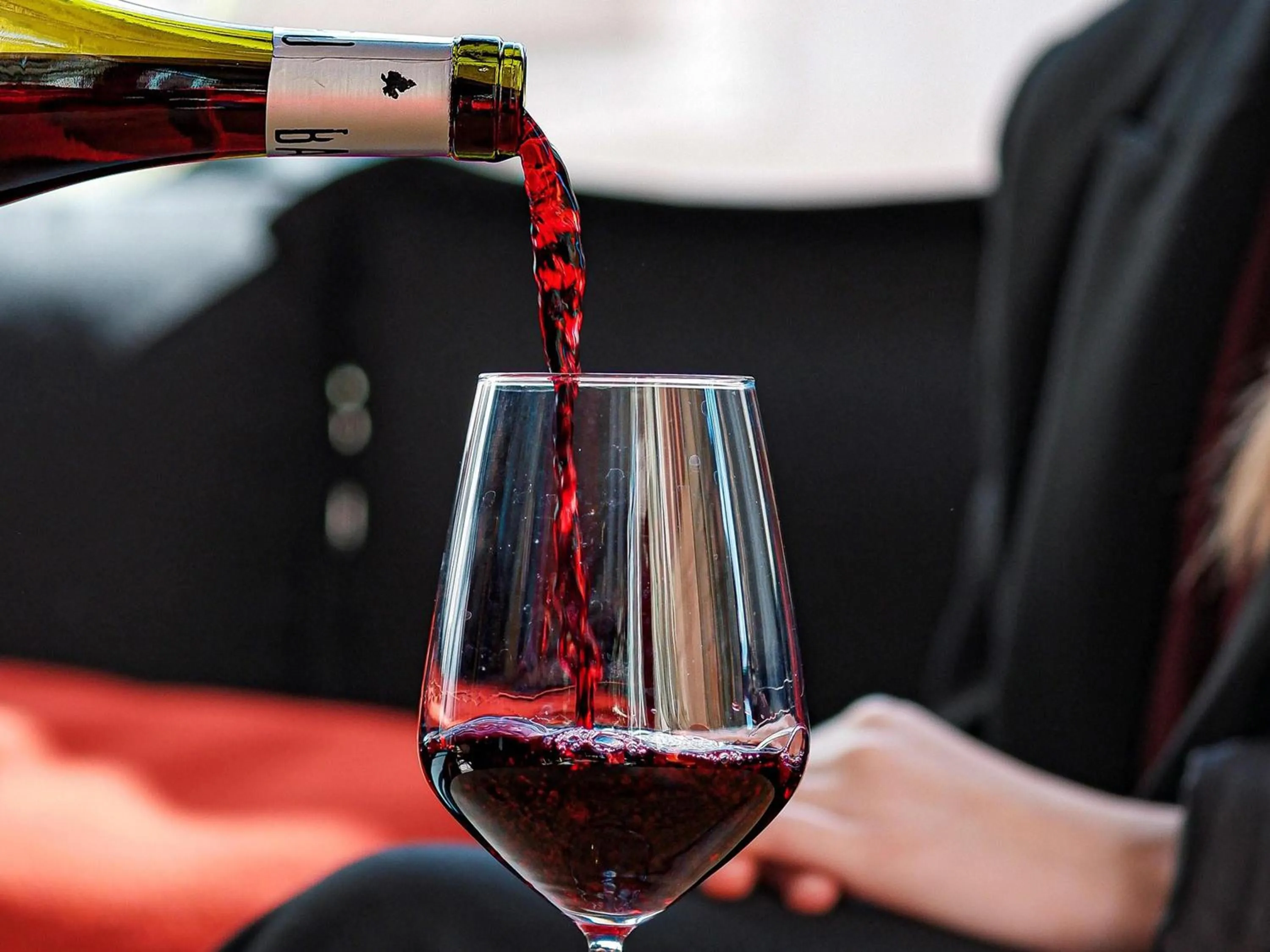 Lounge or bar in Ibis Albi