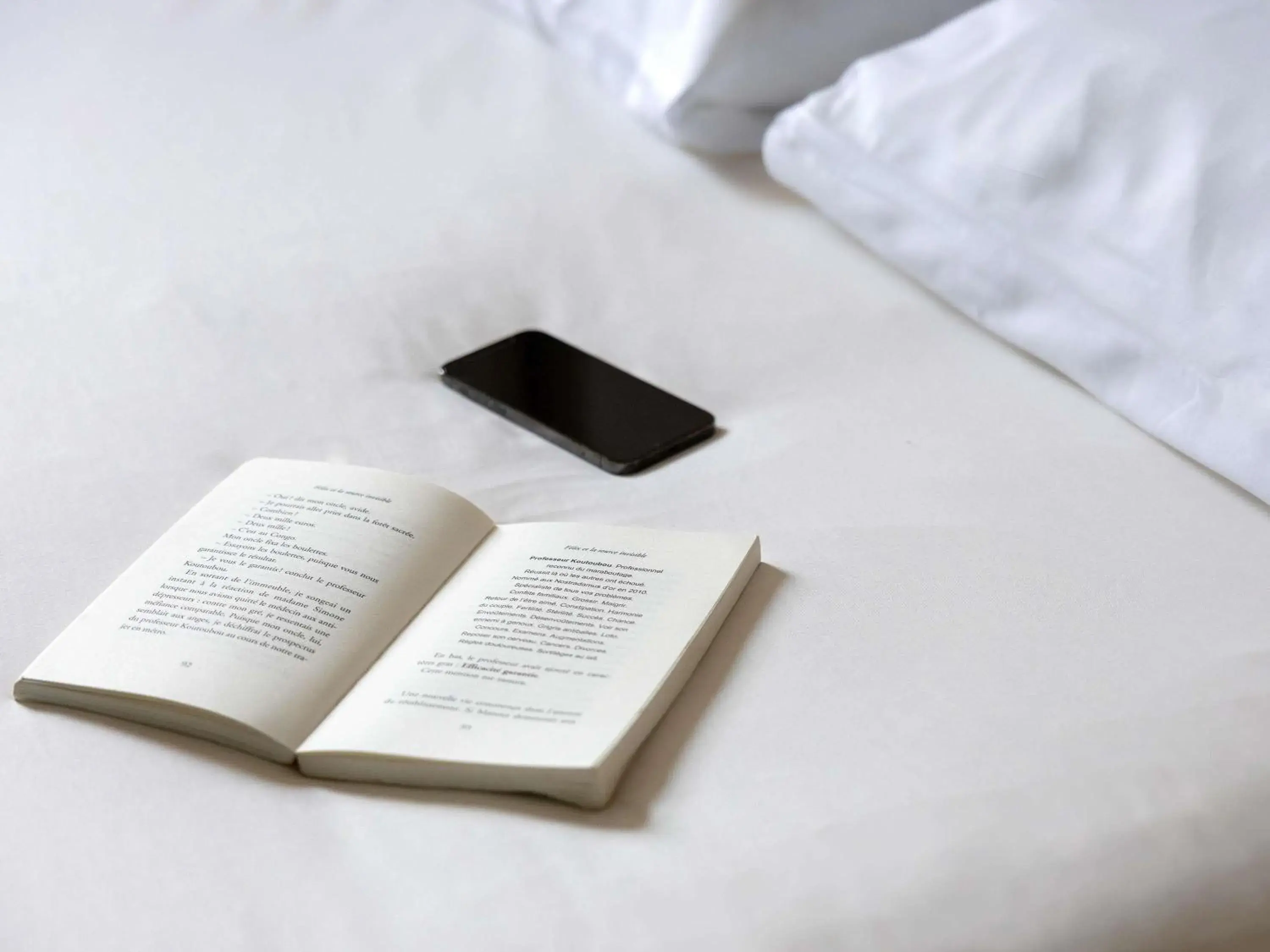 Bedroom, Bed in Ibis Albi Bedroom, Bed in Ibis Albi