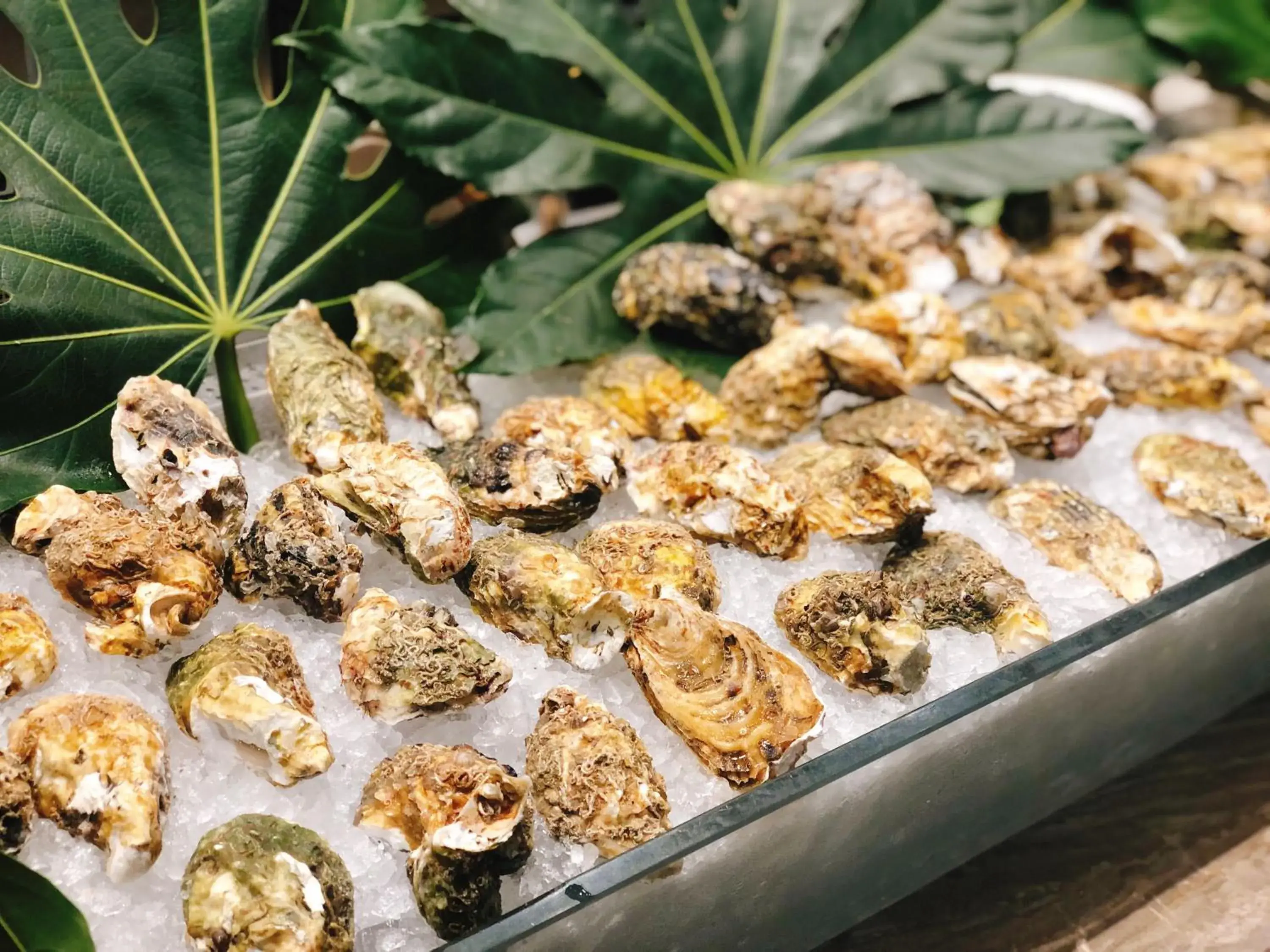 Food in Pullman Changshu Leeman Food in Pullman Changshu Leeman