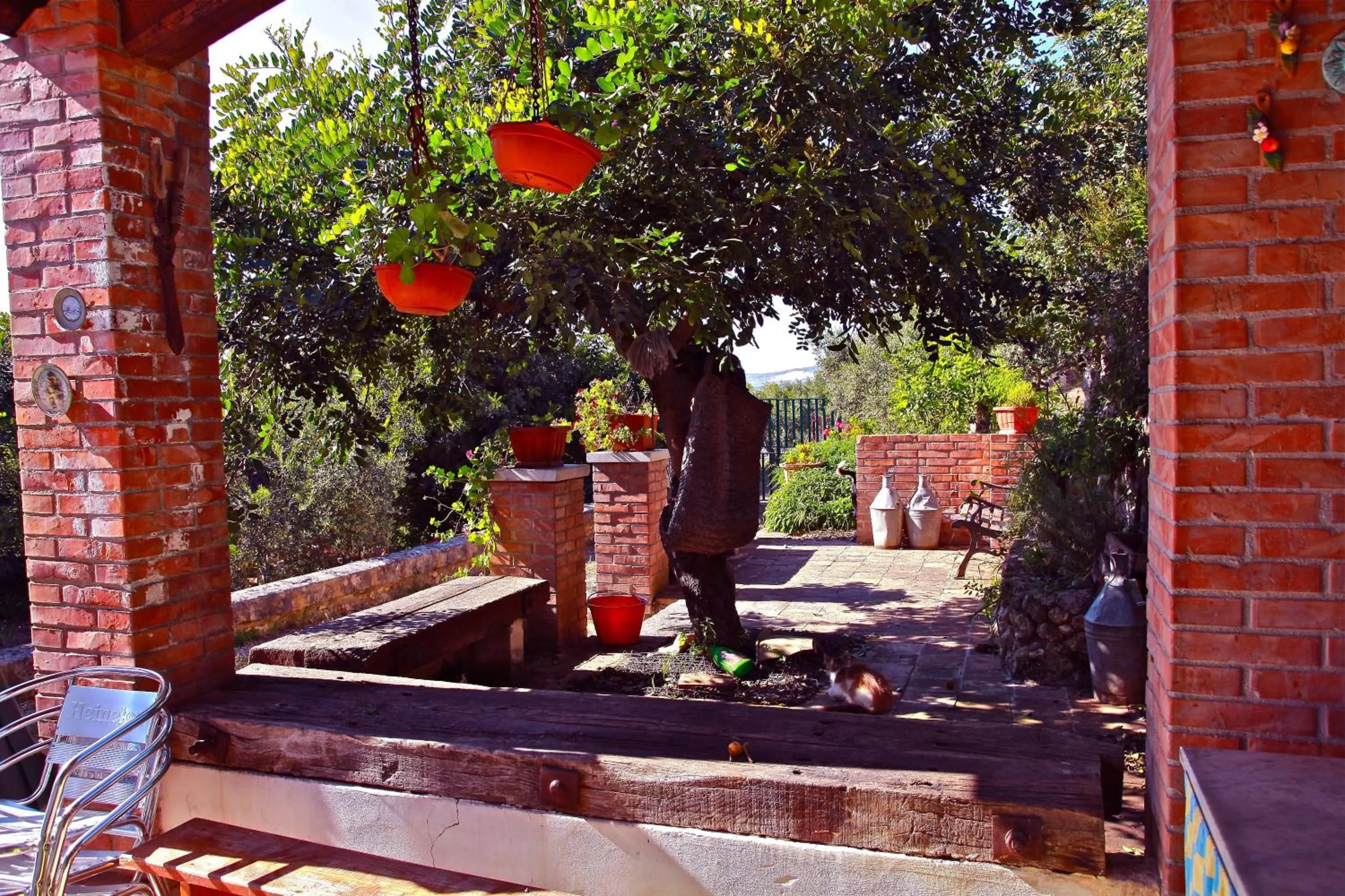 Photo of the whole room in La ginestra
