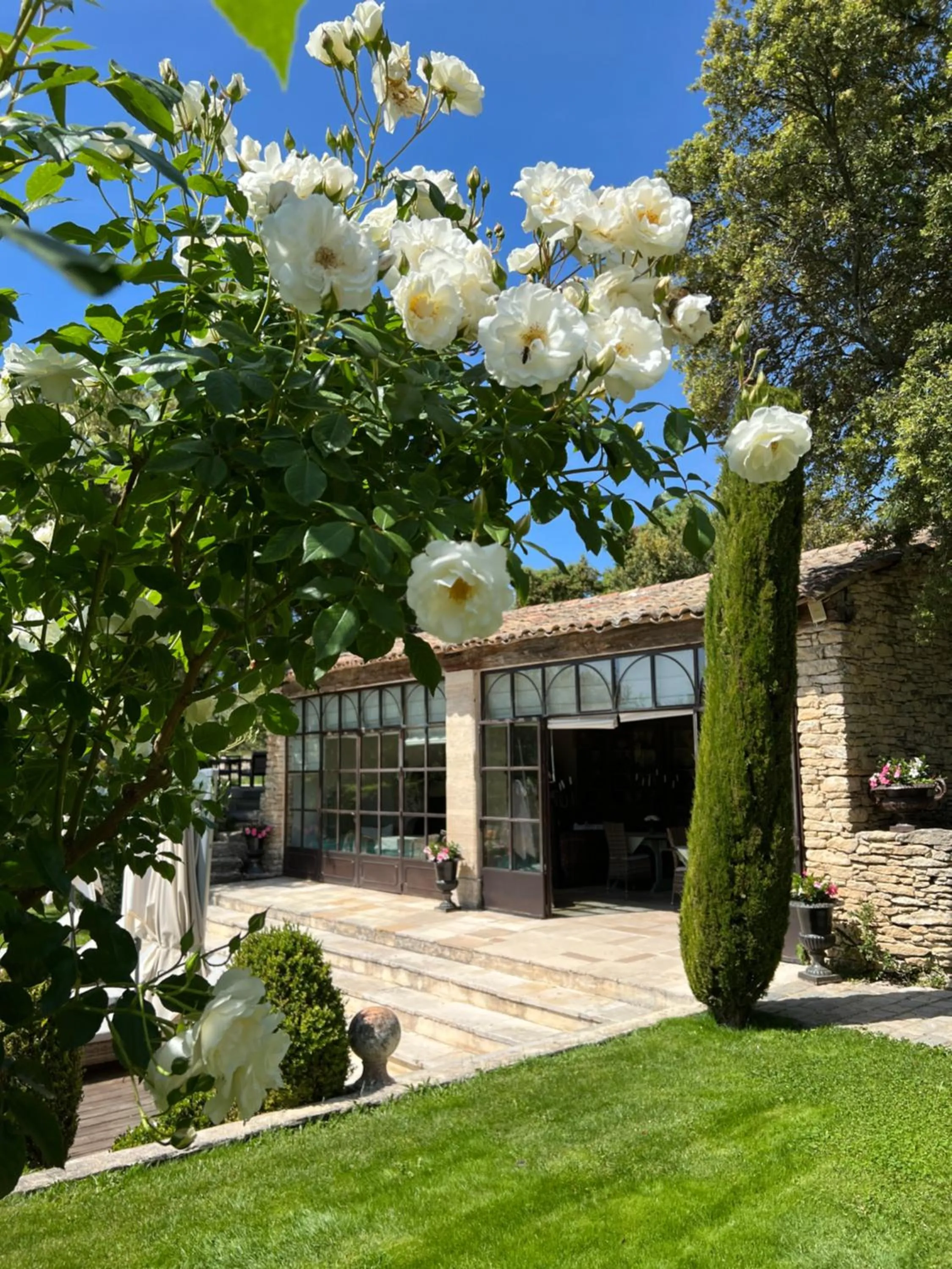 Garden in Villa Hautvallon - Peaceful Escape in Provence