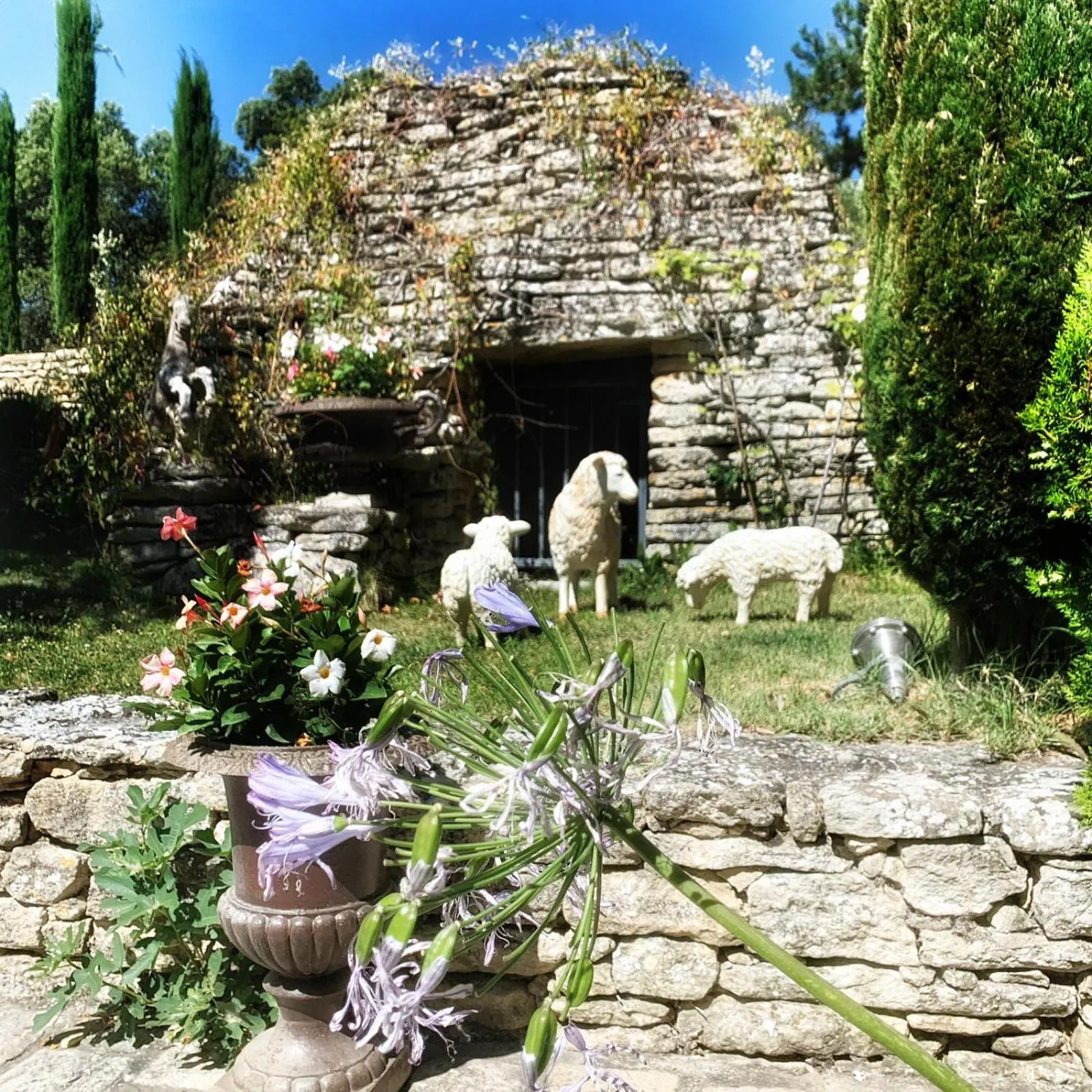 Garden in Villa Hautvallon - Peaceful Escape in Provence