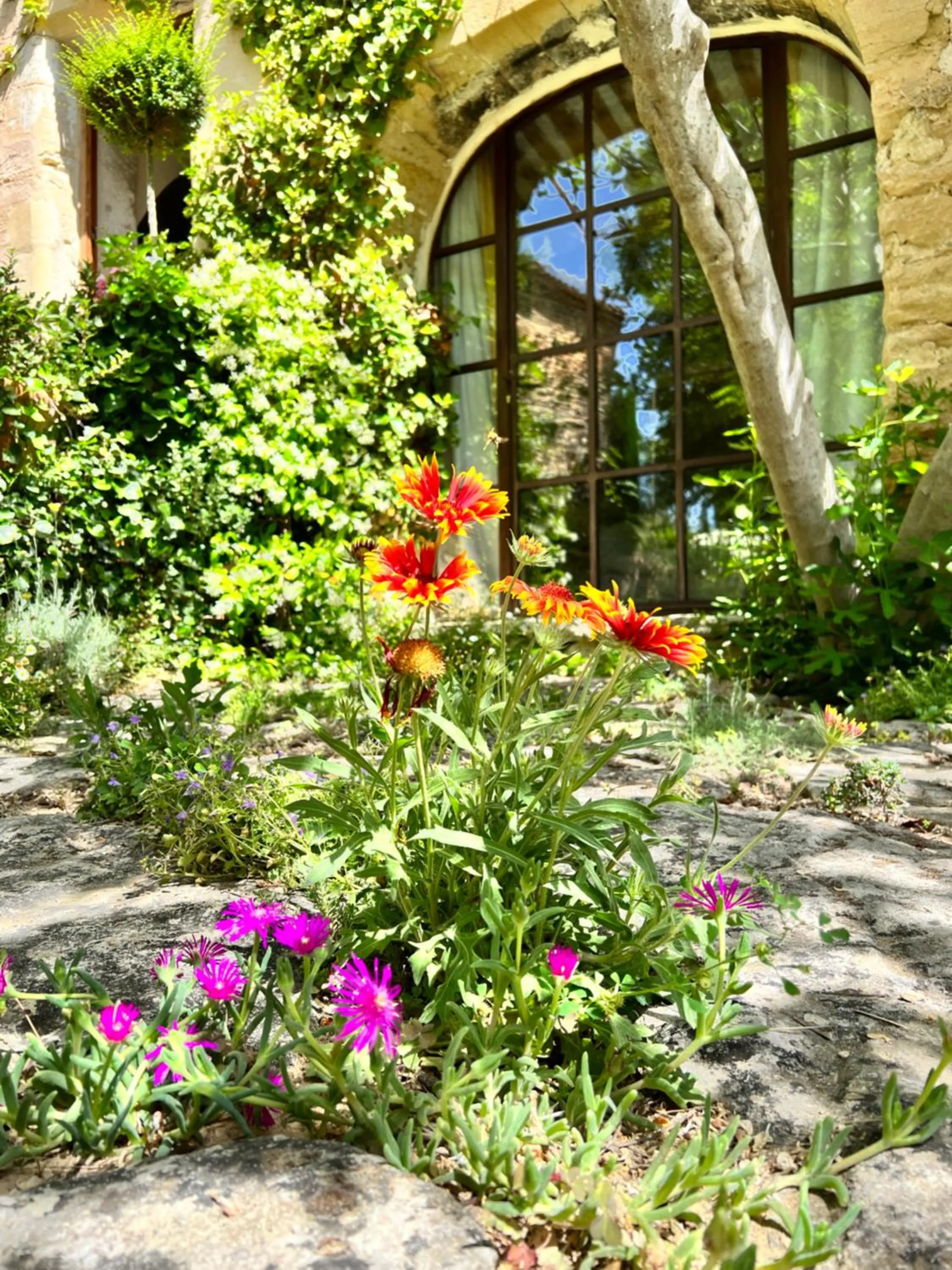 Garden in Villa Hautvallon - Peaceful Escape in Provence