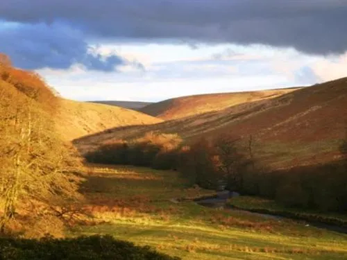 View (from property/room) in Simonsbath House Hotel