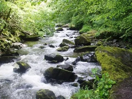 View (from property/room) in Simonsbath House Hotel