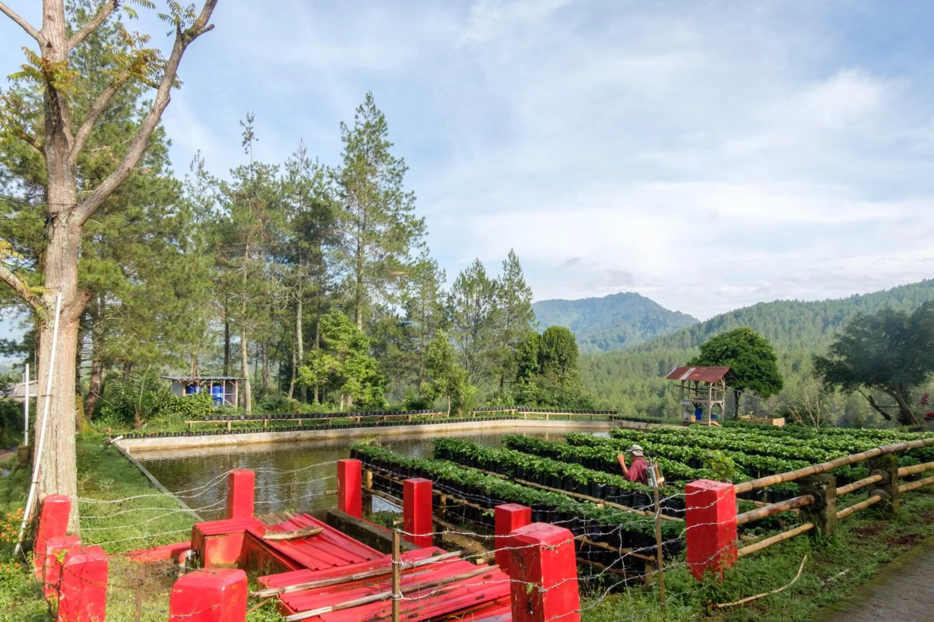 Hilltop Camp, Lembang