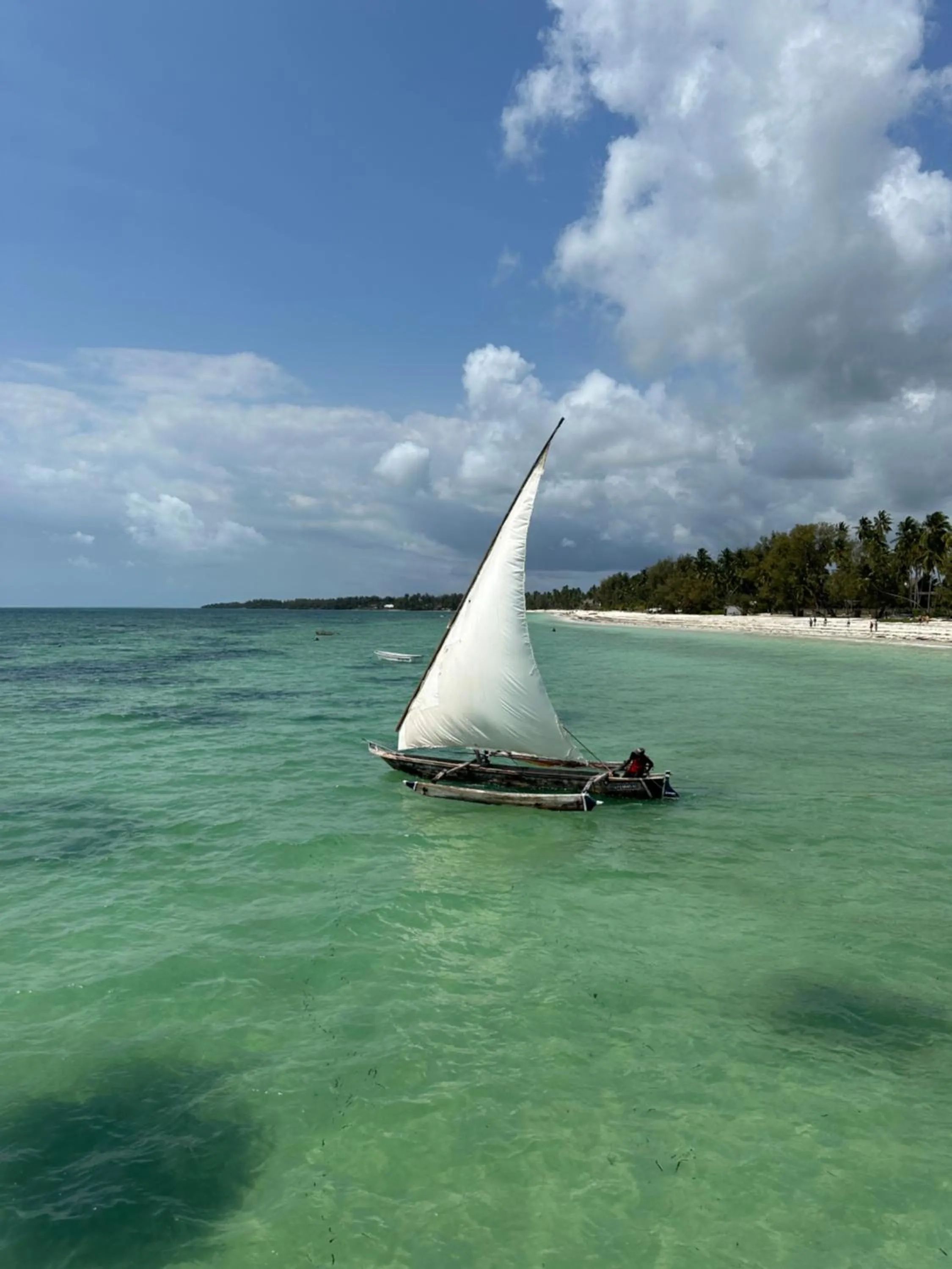 Entertainment in Kiwengwa Bungalow Boutique Resort