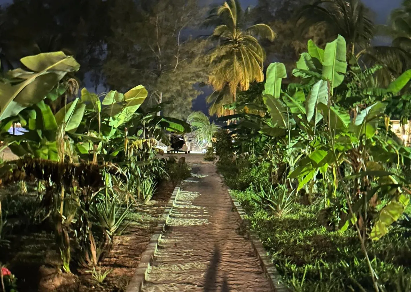 Garden in Kiwengwa Bungalow Boutique Resort