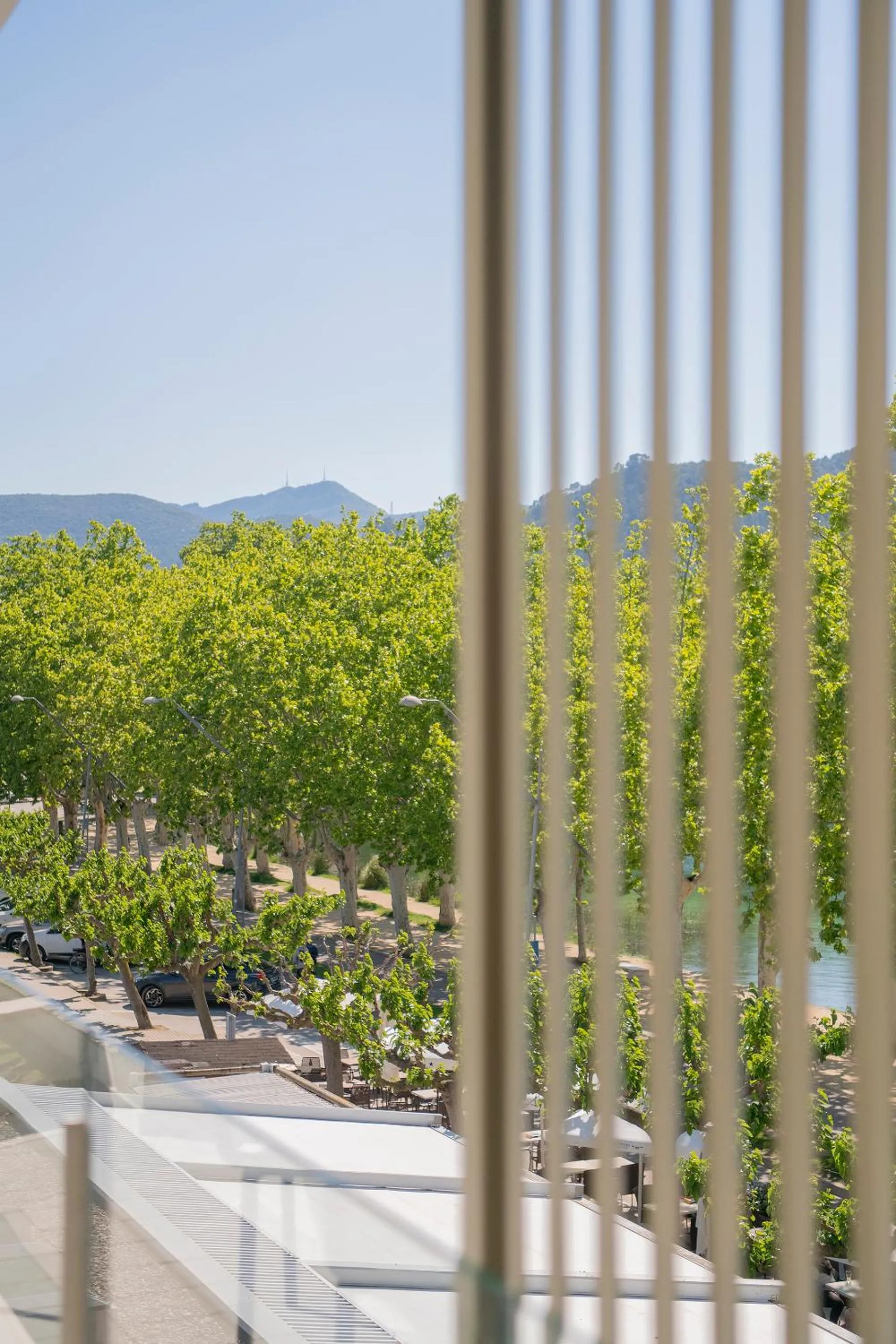 Spring in APARTAMENTS LA CARPA