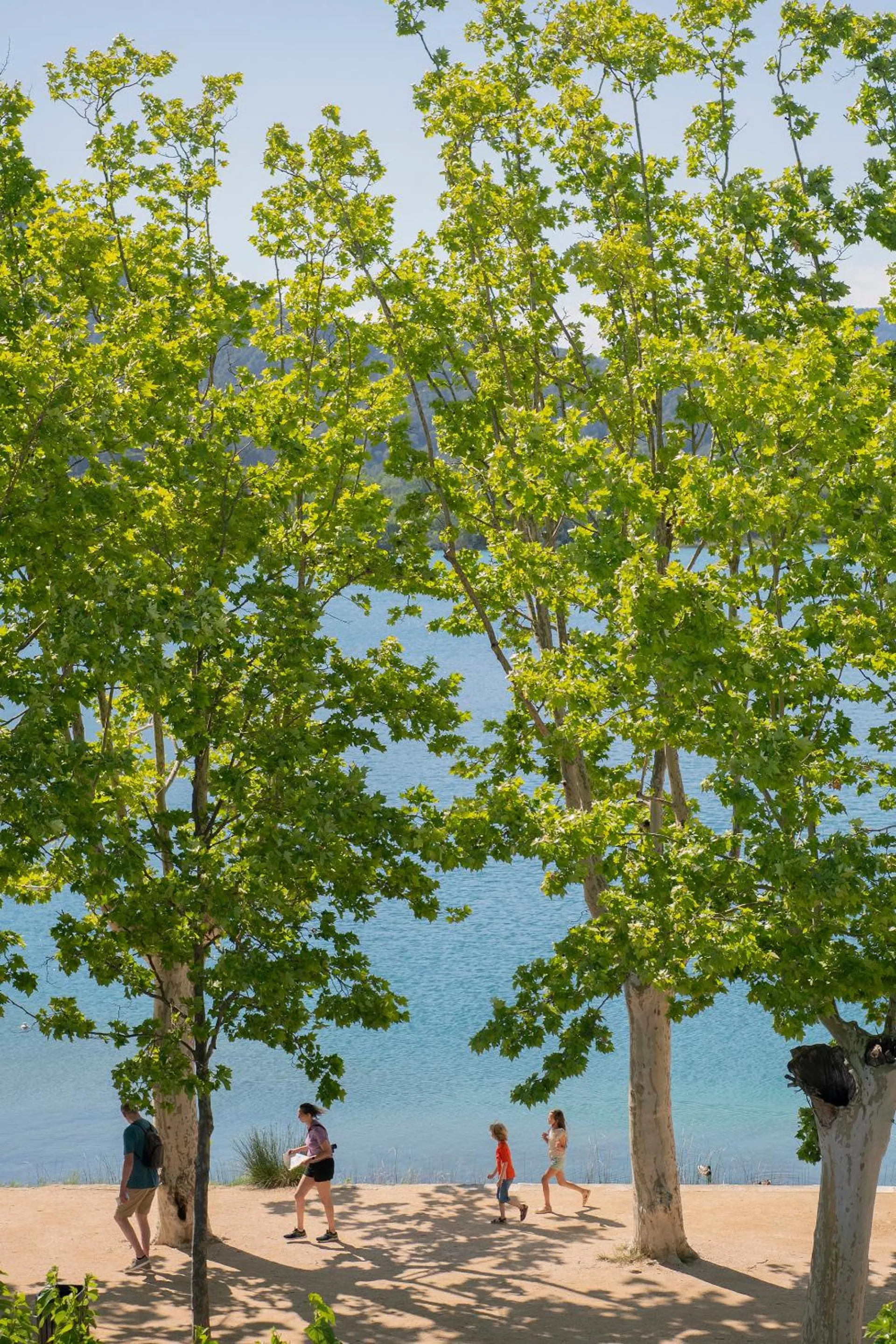 Spring in APARTAMENTS LA CARPA
