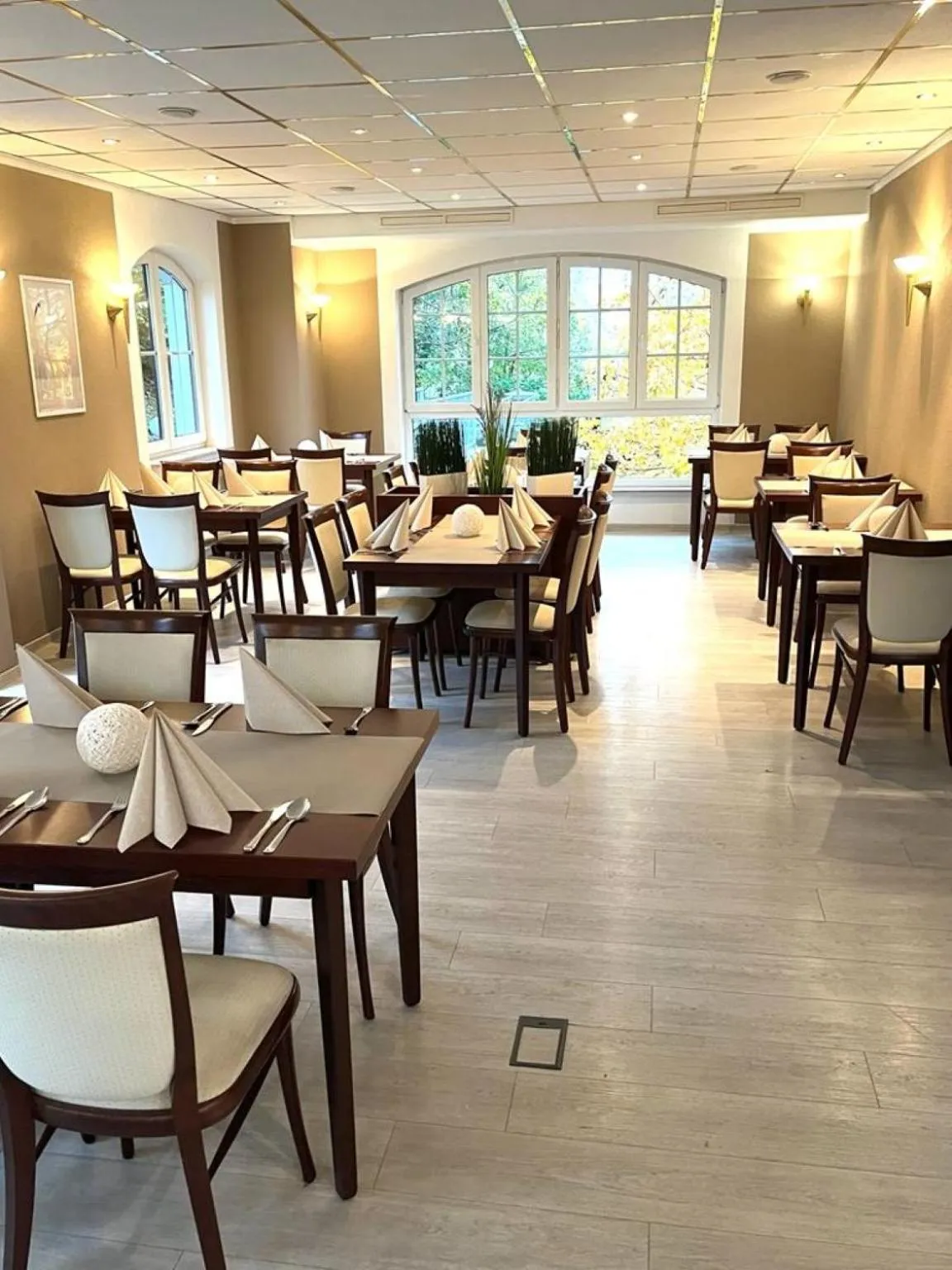 Restaurant/places to eat in Hotel Alte Apotheke