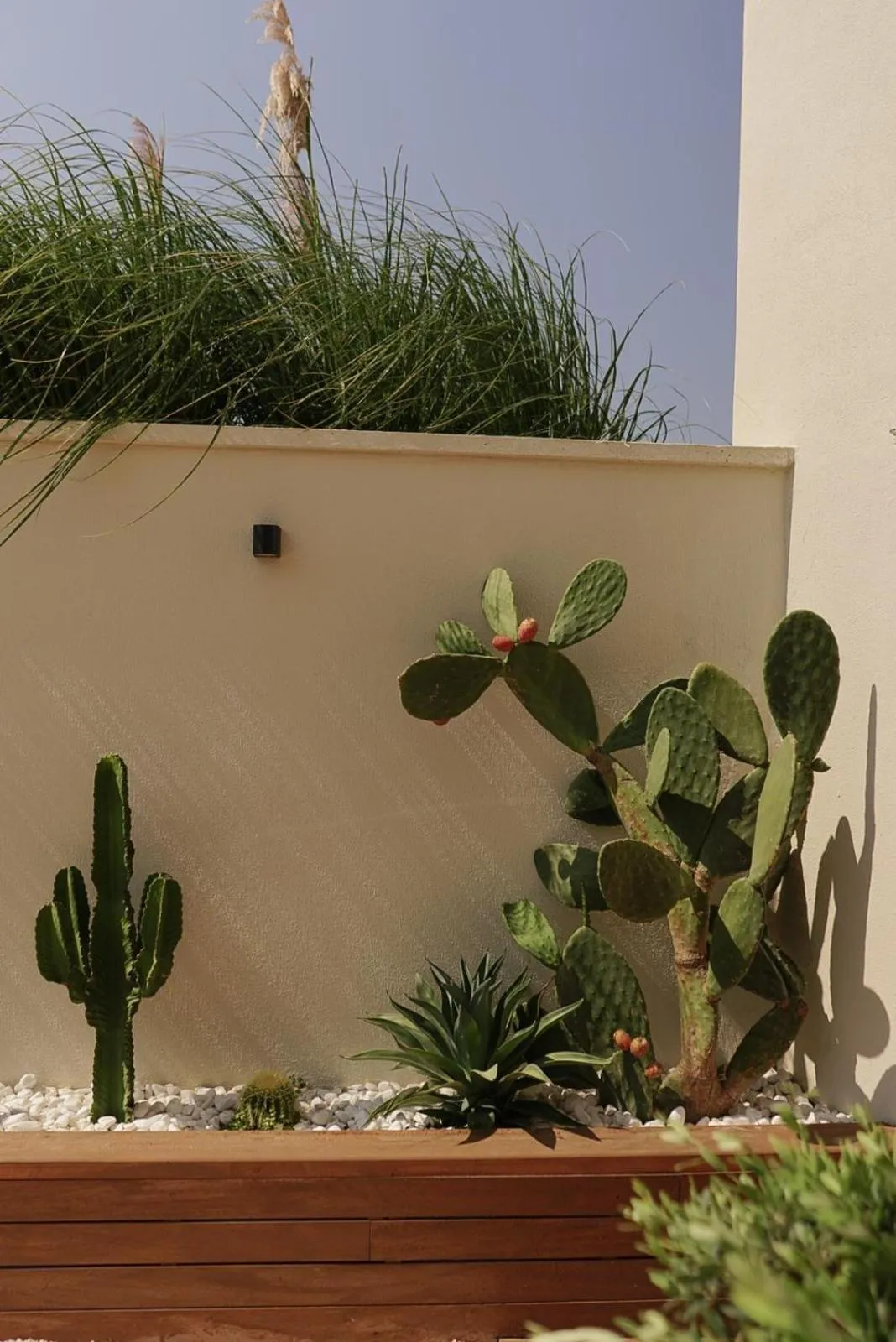 Day in The May Five - Adults only