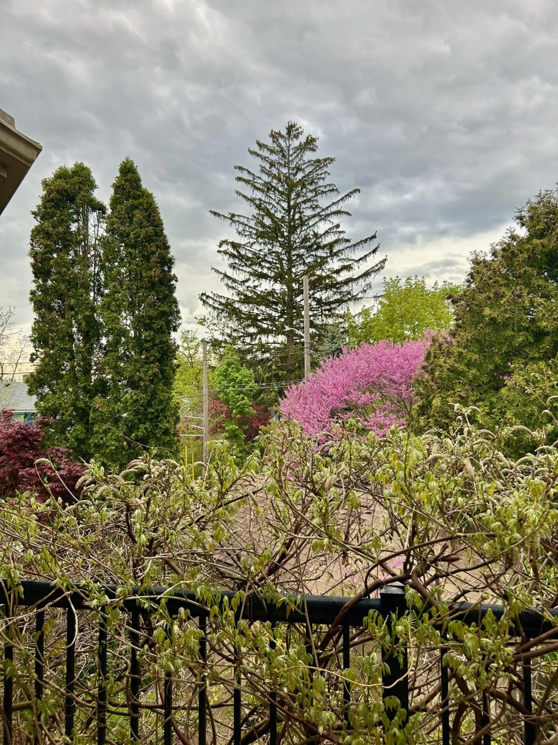 Norfolk Guest House Inn