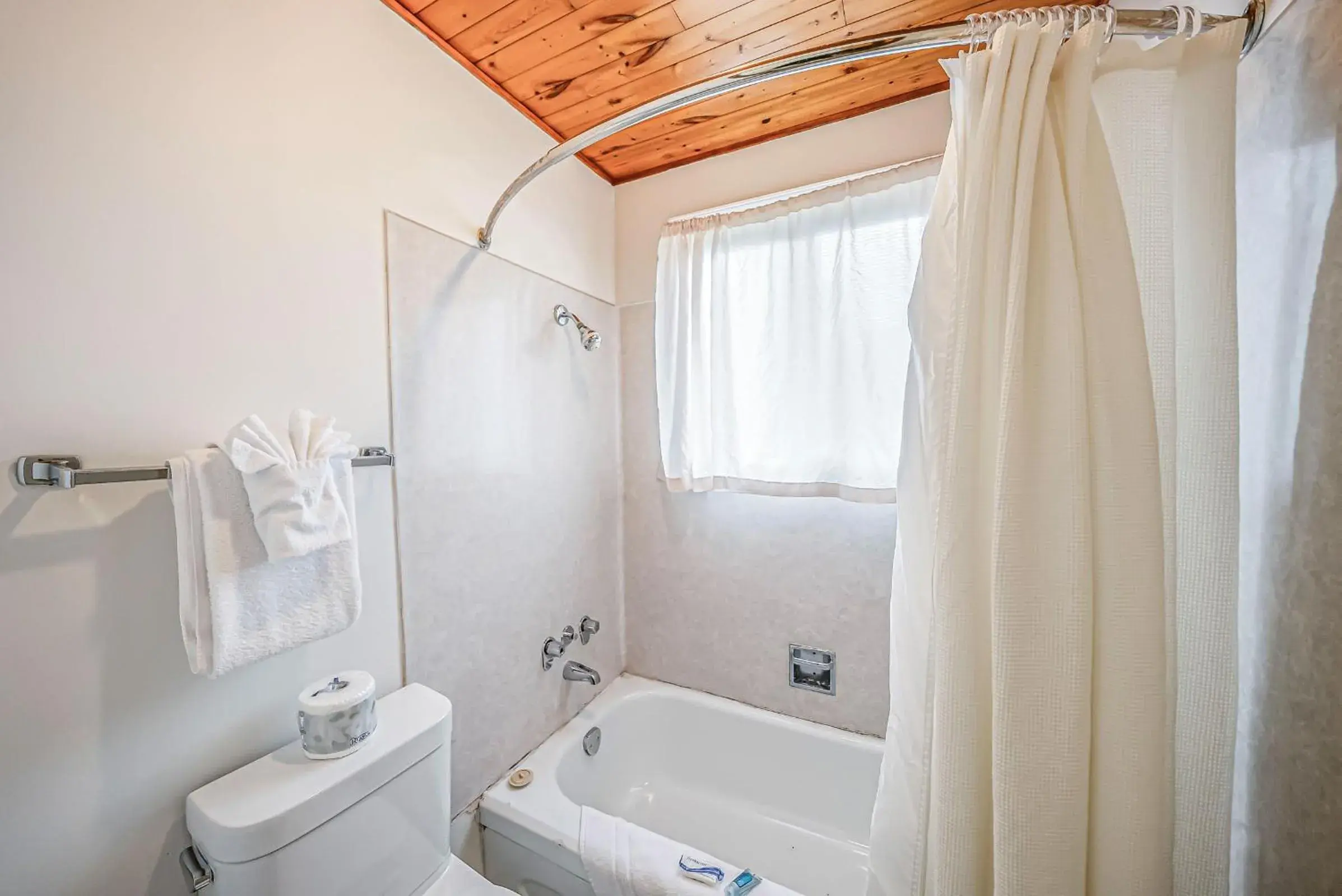 One-Bedroom Suite in Bluebird Motel One-Bedroom Suite in Bluebird Motel