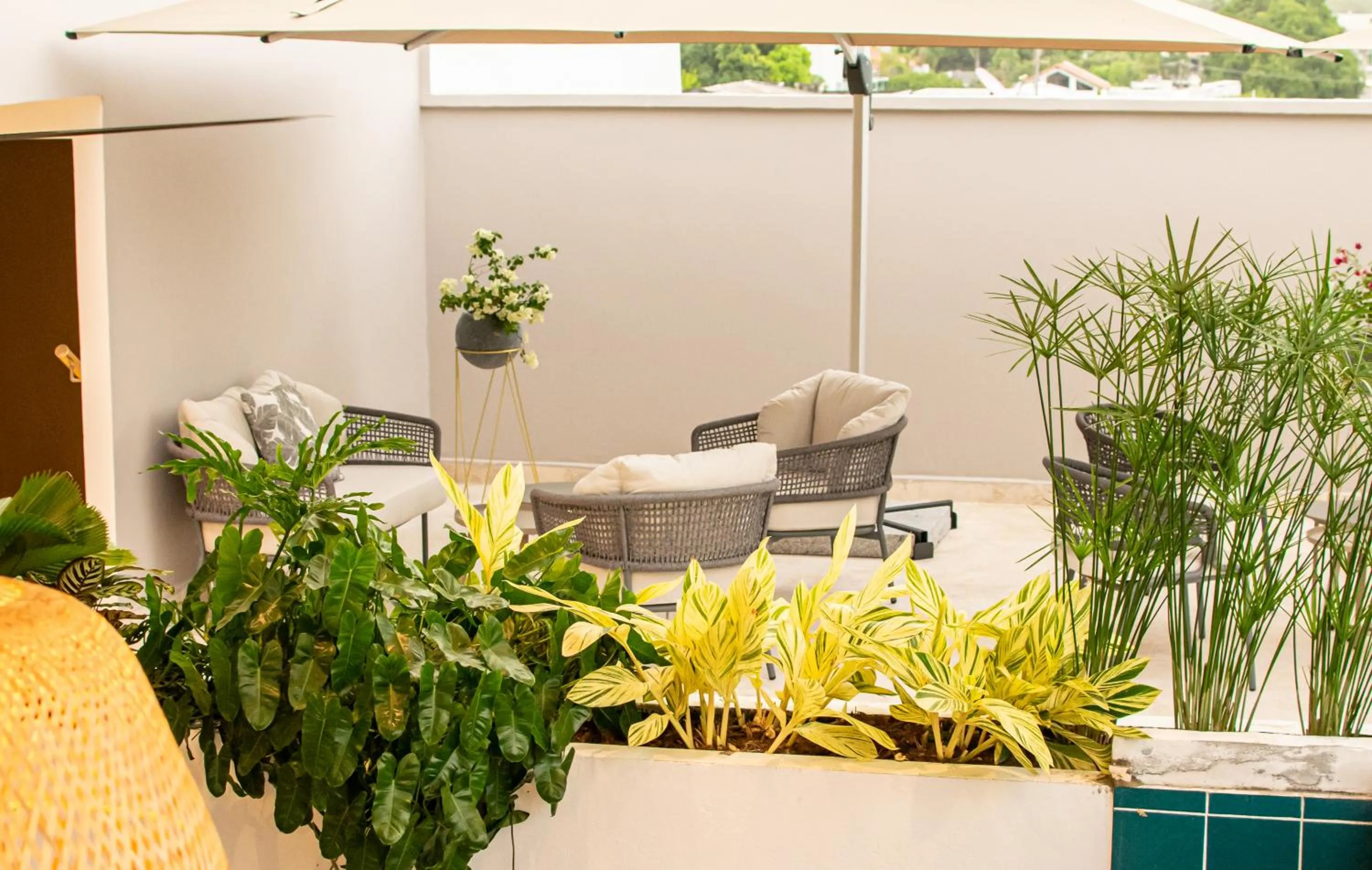Balcony/Terrace in Hotel Unión Plaza