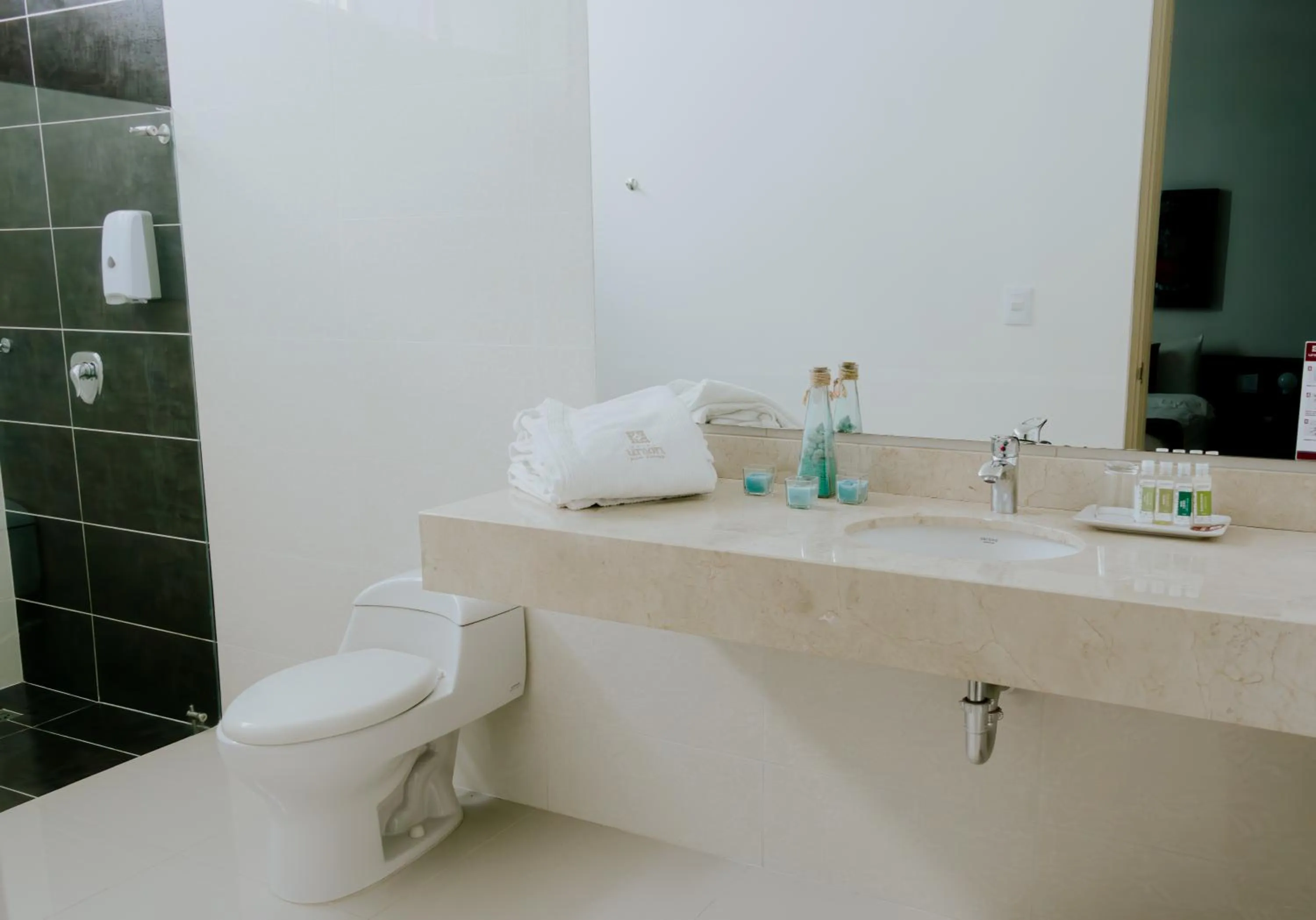 Bathroom in Hotel Unión Plaza