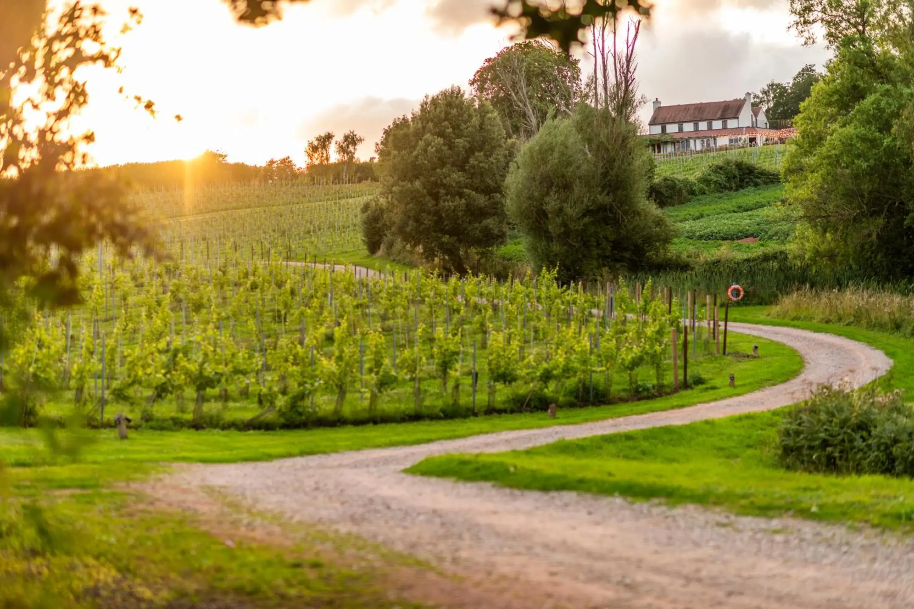 Three Choirs Vineyards Three Choirs Vineyards